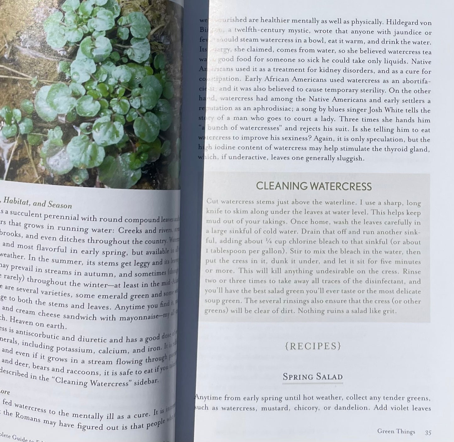 The Complete Guide to Edible Wild Plants, Mushrooms, Fruits Nuts: Finding, Identifying, Cooking - Kate Letcher Lyle Watercress