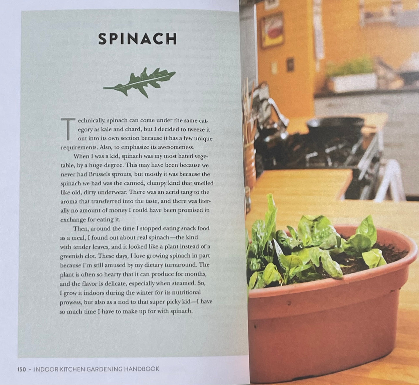 Herb Vegetable House Plant Indoor Kitchen Gardening Handbook - Projects and Inspiration to Grow Food Year Round - Spinach