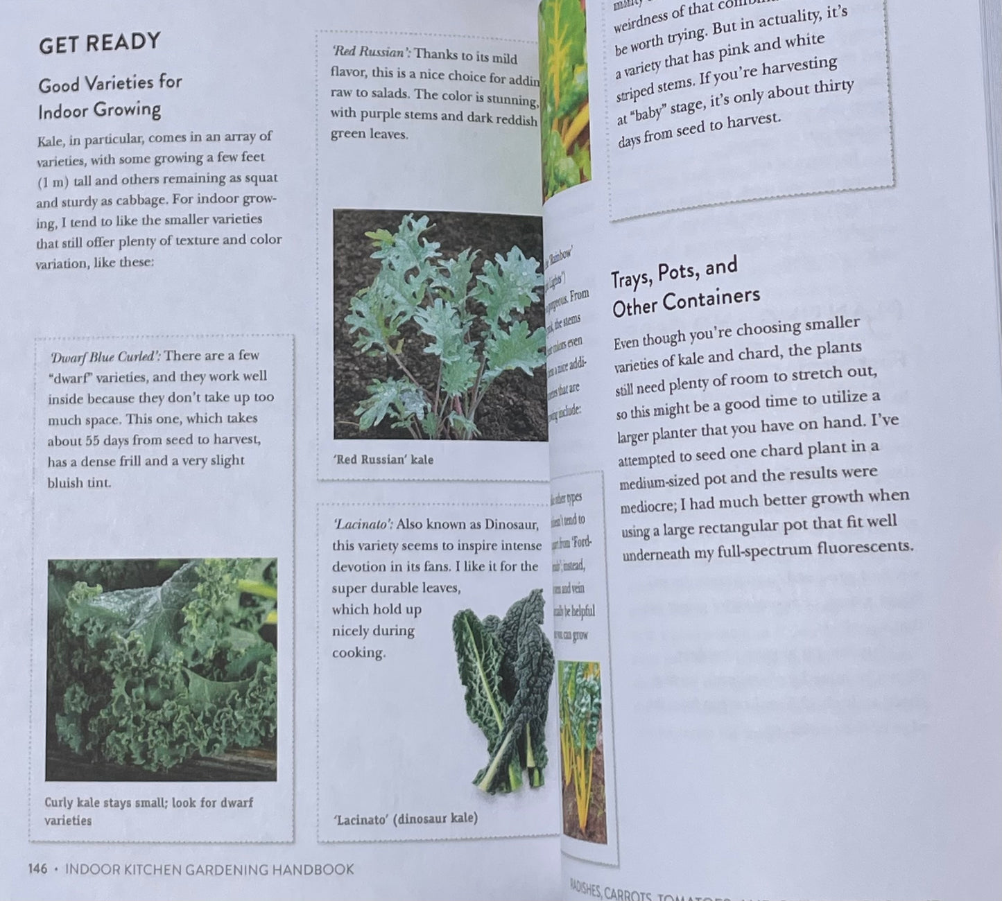 Herb Vegetable House Plant Indoor Kitchen Gardening Handbook - Projects and Inspiration to Grow Food Year Round