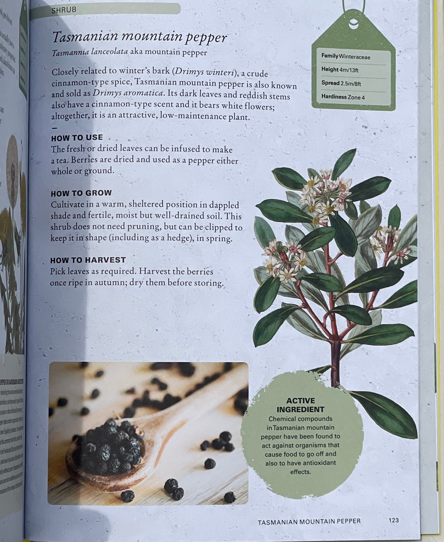 The Kew Gardener's Guide to Growing Herbs: The art and science to grow your own herbs (Volume 2) Hardcover