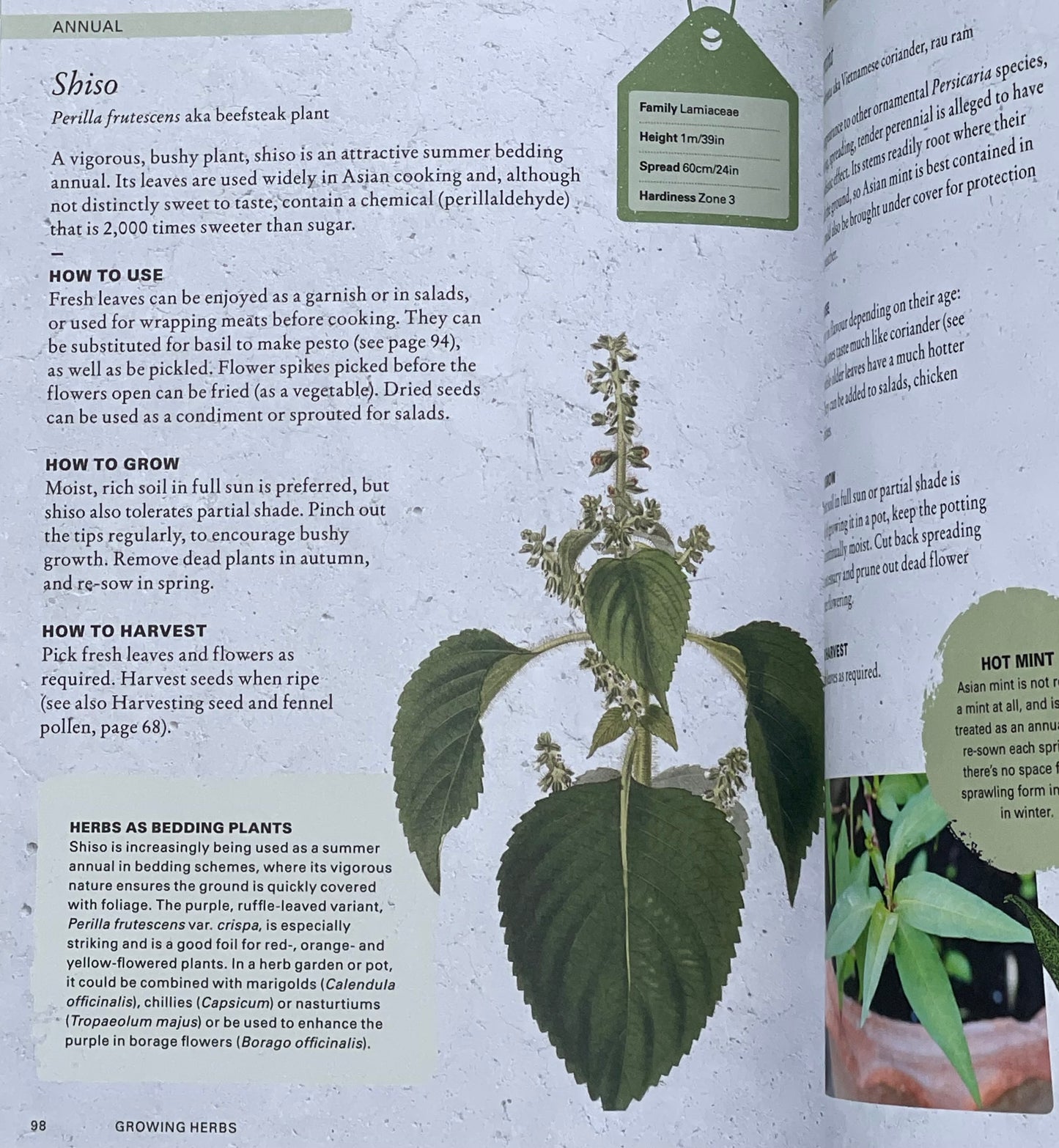 The Kew Gardener's Guide to Growing Herbs: The art and science to grow your own herbs (Volume 2) Hardcover