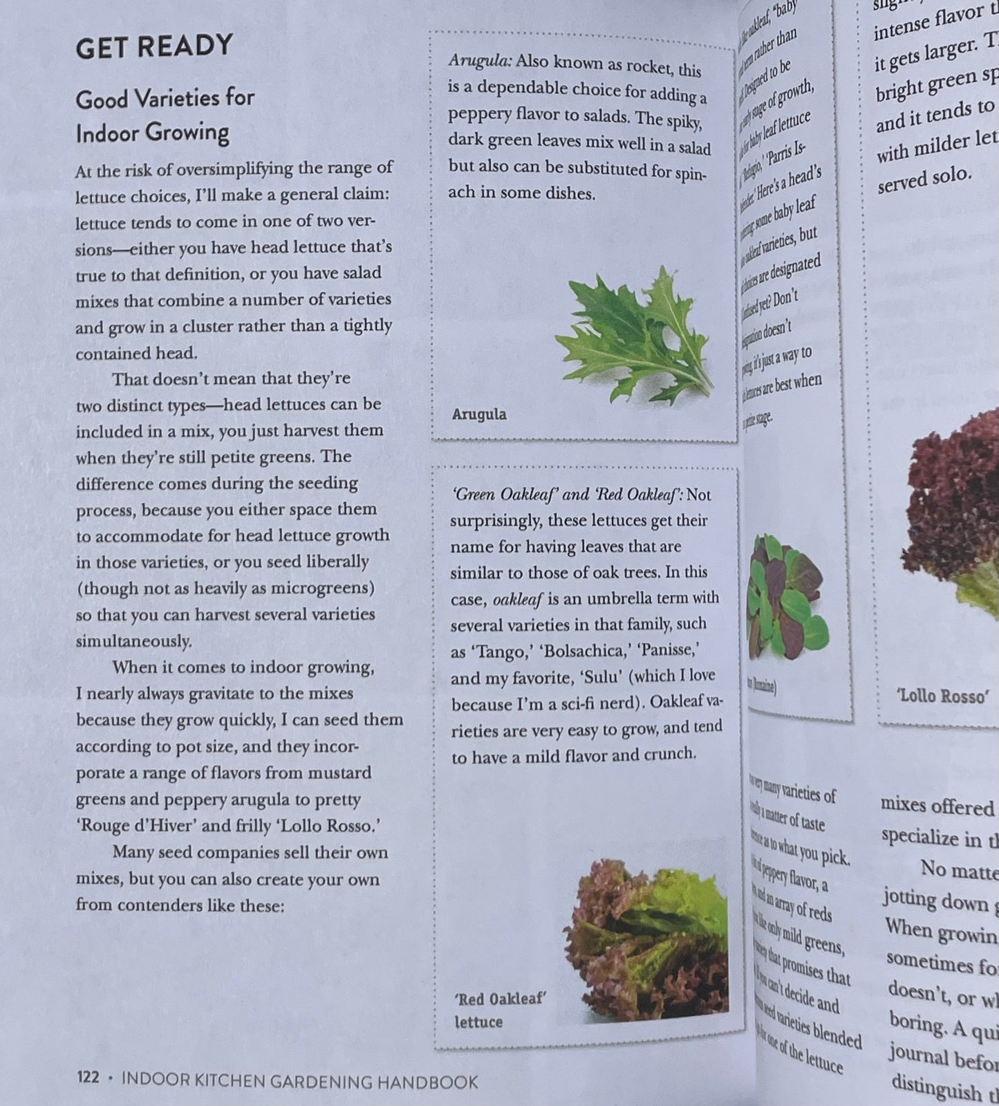 Herb Vegetable House Plant Indoor Kitchen Gardening Handbook - Projects and Inspiration to Grow Food Year Round - Arugula gardening - Red Leaf Lettuce Gardening