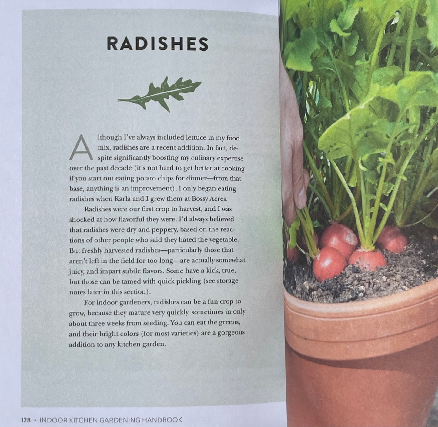 Herb Vegetable House Plant Indoor Kitchen Gardening Handbook - Projects and Inspiration to Grow Food Year Round - Radish Gardening
