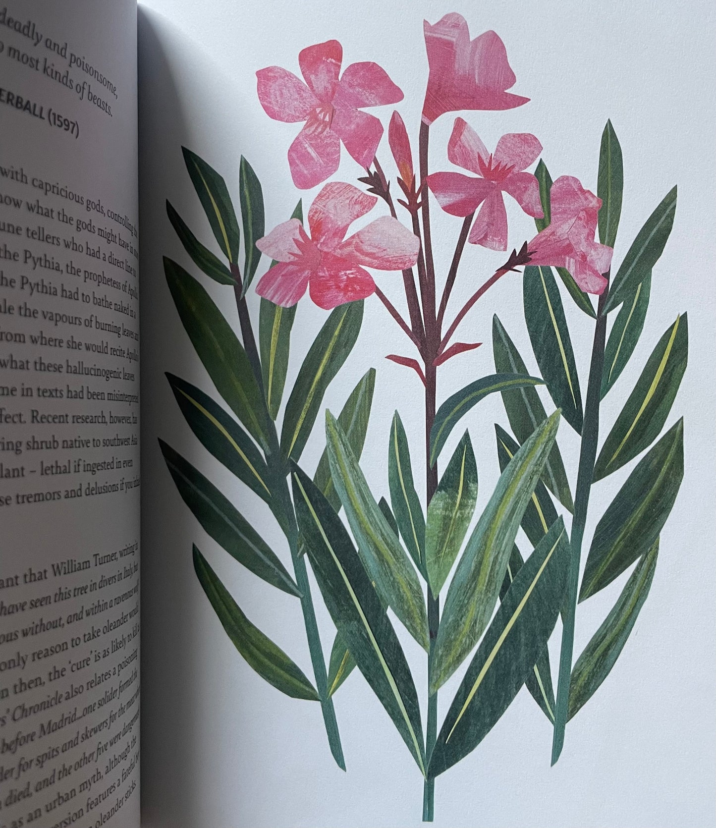 Floriography: The Myths, Magic and Language of Flowers - Sally Coulthard