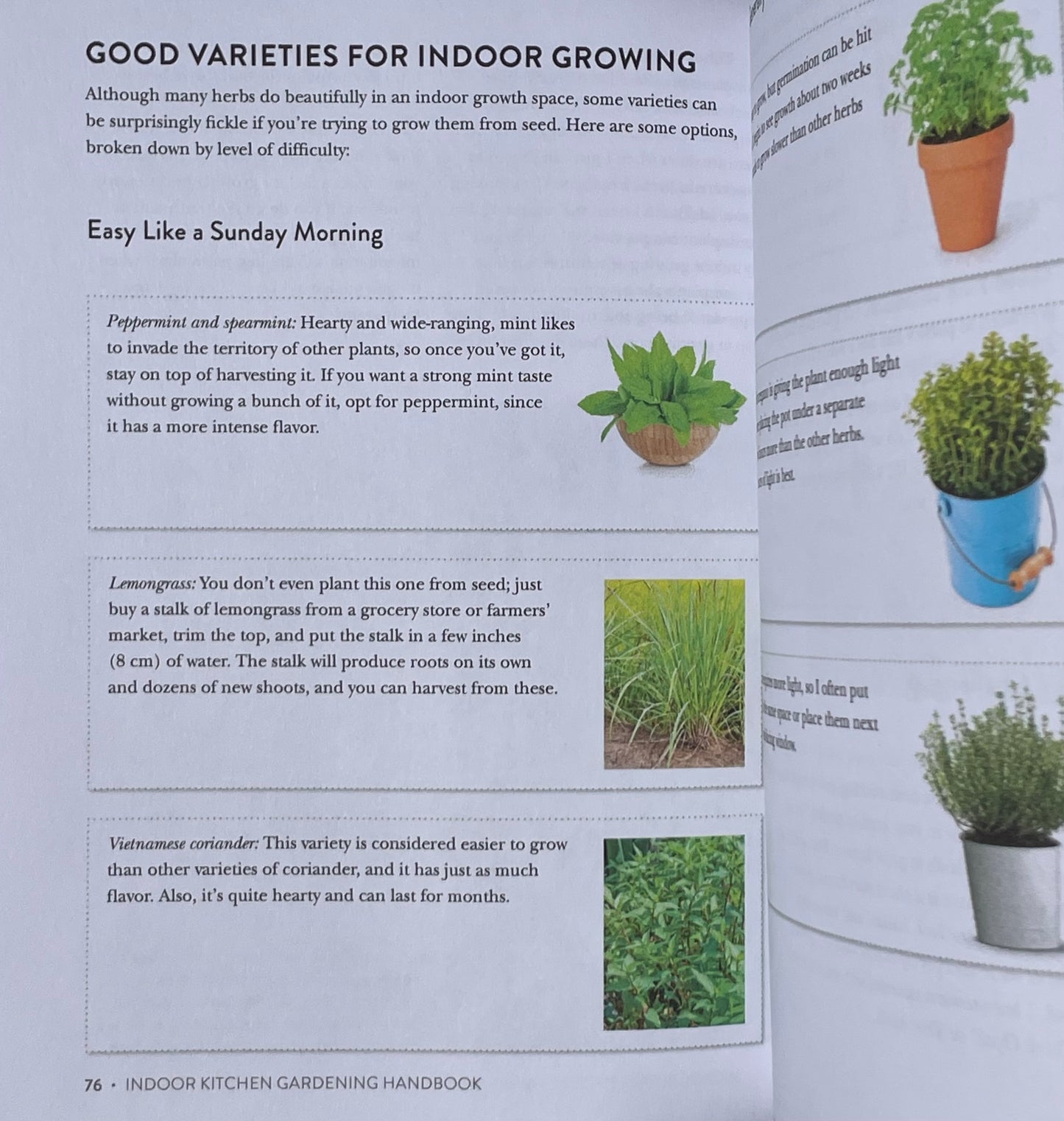 Herb Vegetable House Plant Indoor Kitchen Gardening Handbook - Projects and Inspiration to Grow Food Year Round