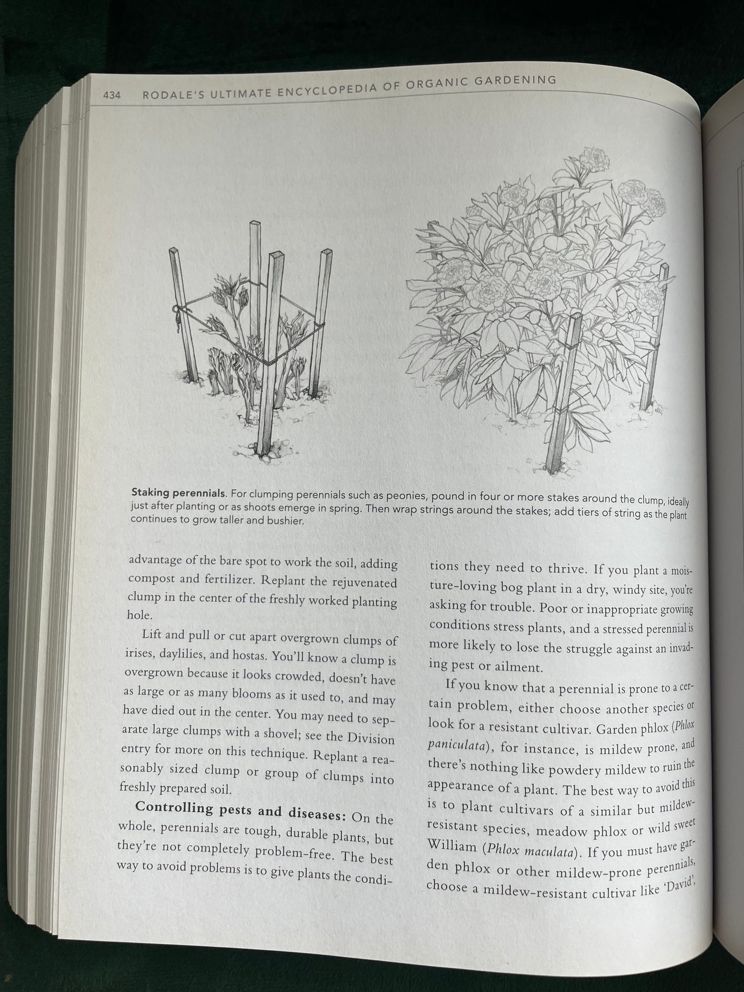 Rodale's Ultimate Encyclopedia of Organic Gardening: The Indispensable Green Resource for Every Gardener