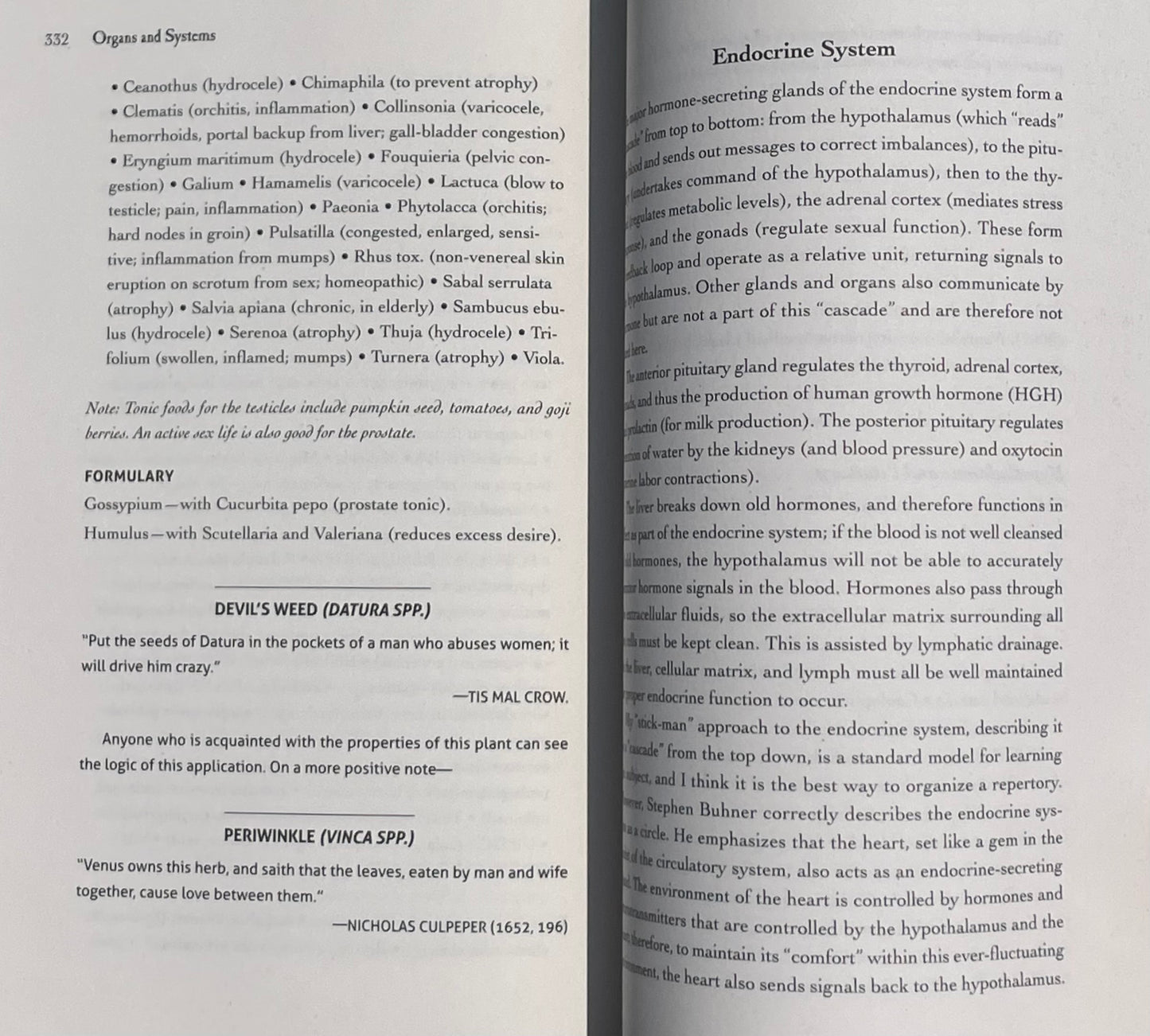 The Earthwise Herbal Repertory: The Definitive Practitioner's Guide by Matthew Wood