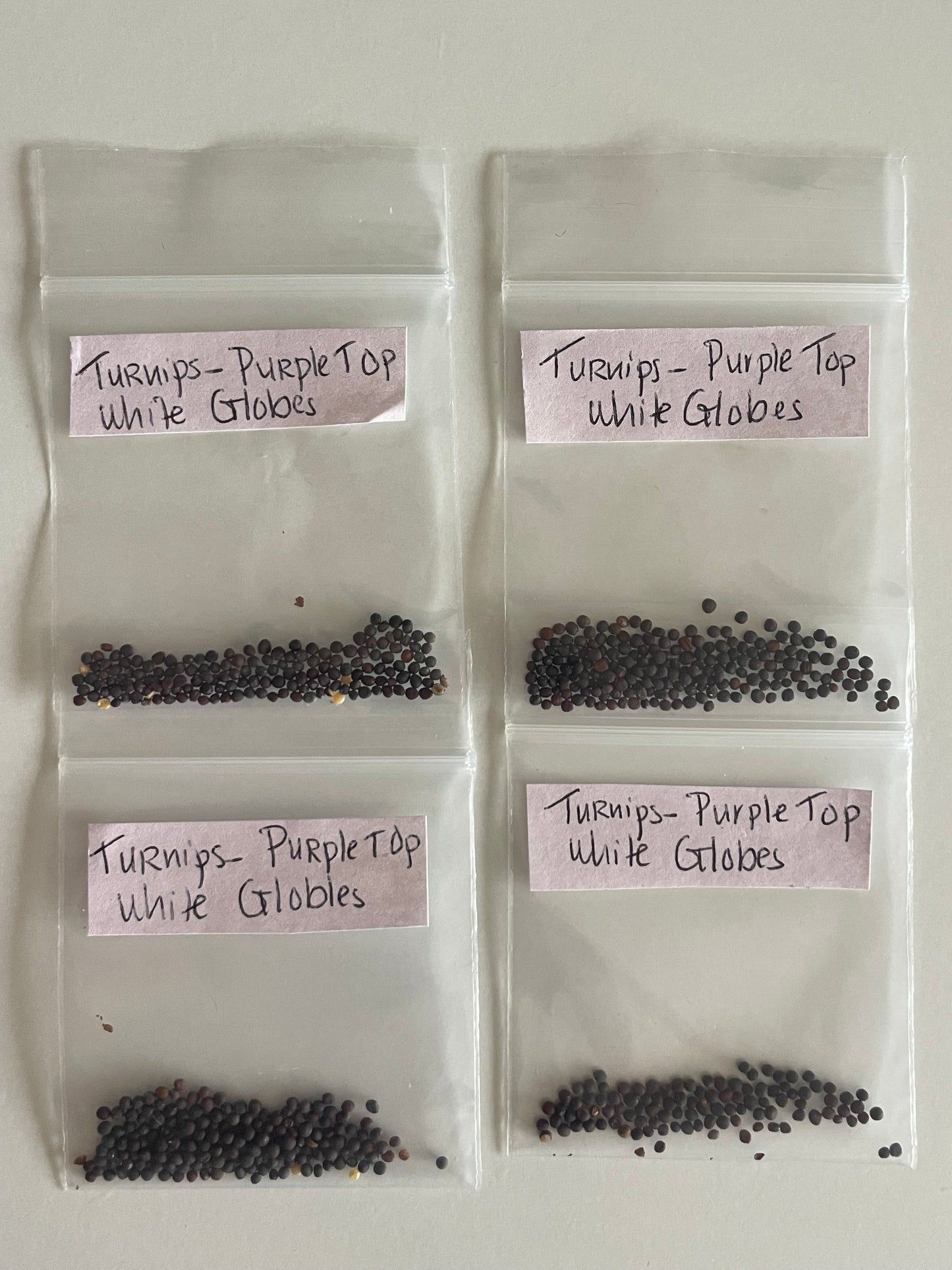 Purple Turnip Seeds Heirloom Organic Vegetable Seeds Non GMO Organic Seeds Garden Gift Idea Winter Spring Seeds for Gardener Veggie Lover