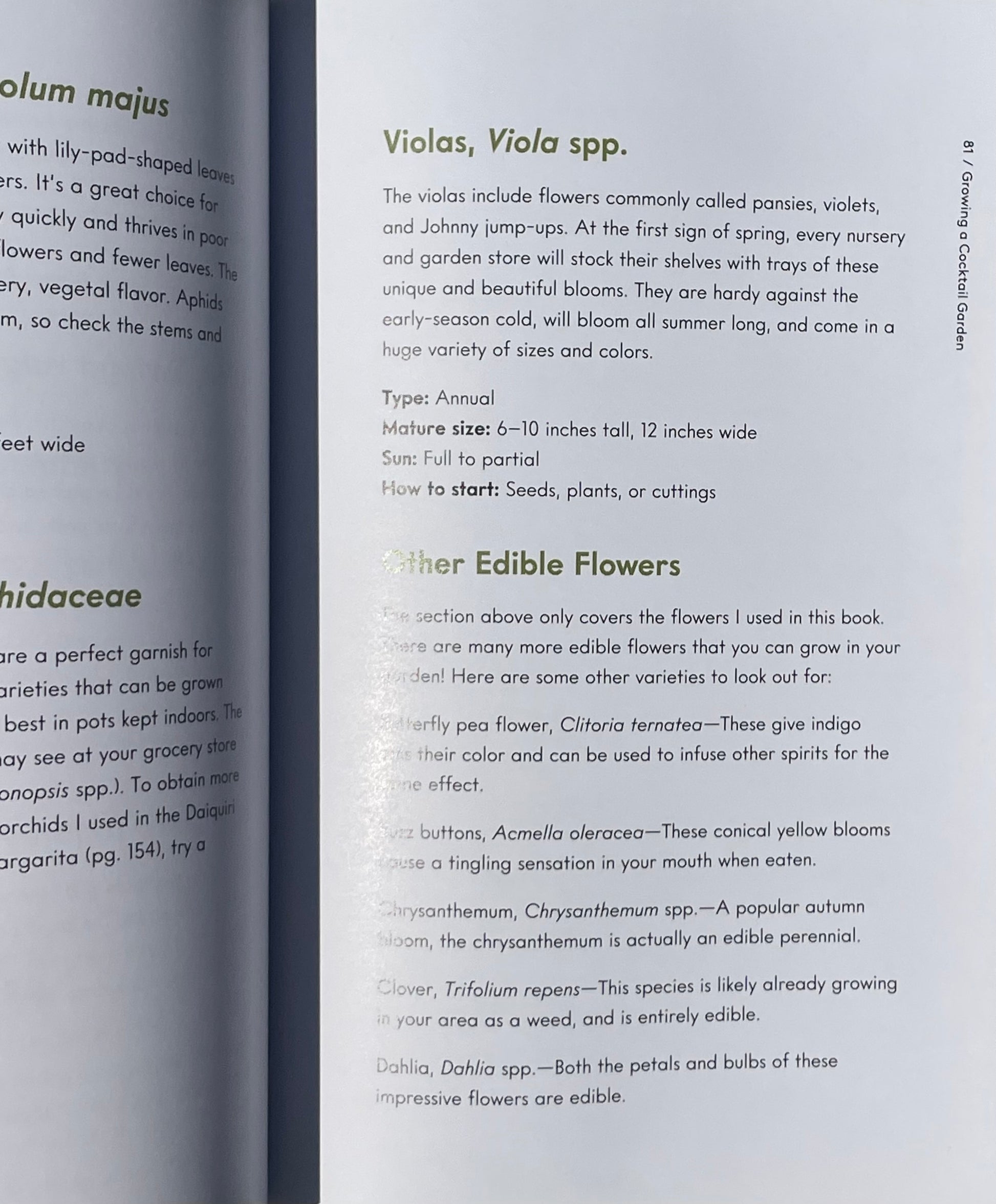Cocktail Book - Cocktails, Mocktails, and Garnishes from the Garden: Recipes for Beautiful Beverages with a Botanical Twist (Unique Craft Cocktails)