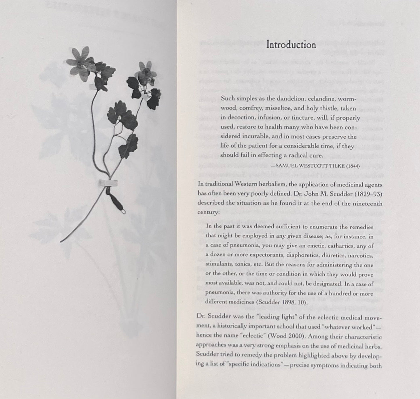 The Earthwise Herbal Repertory: The Definitive Practitioner's Guide by Matthew Wood