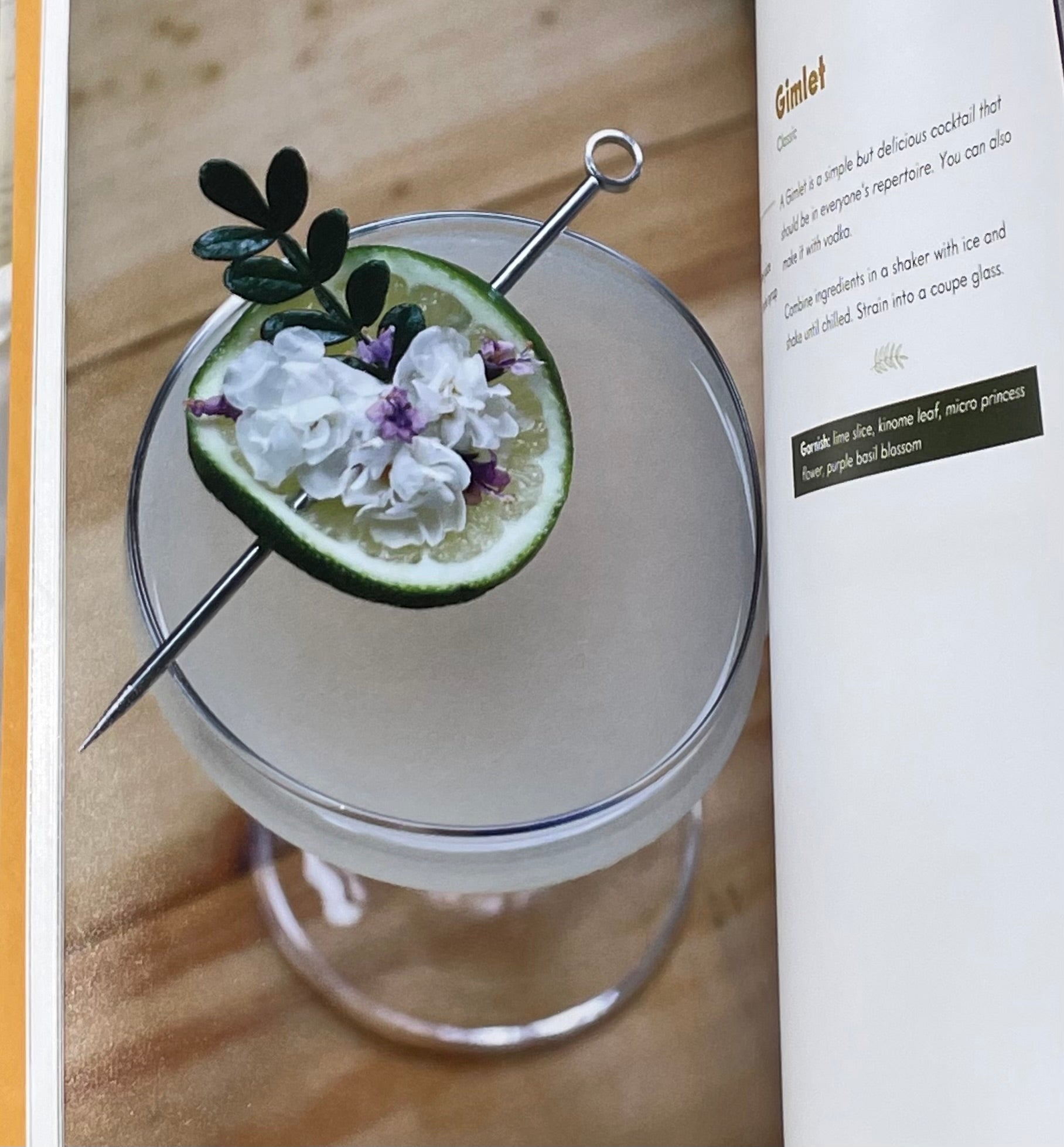 Cocktail Book - Cocktails, Mocktails, and Garnishes from the Garden: Recipes for Beautiful Beverages with a Botanical Twist (Unique Craft Cocktails)