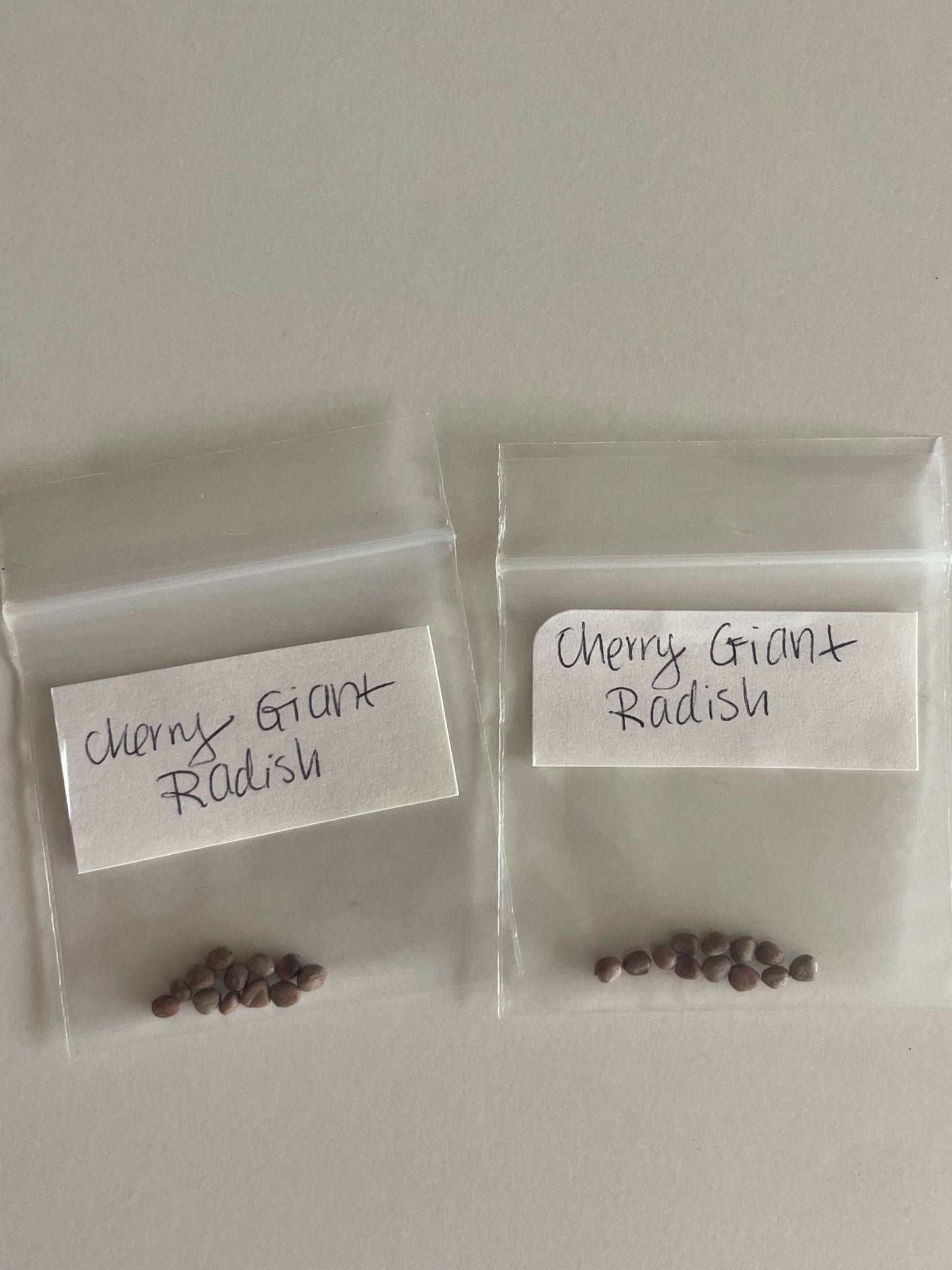 Cherry Giant Radish Seeds Heirloom Organic Vegetable Seeds Non GMO Organic Seeds Garden Gift Idea Spring Seeds for Gardener Veggie Lover