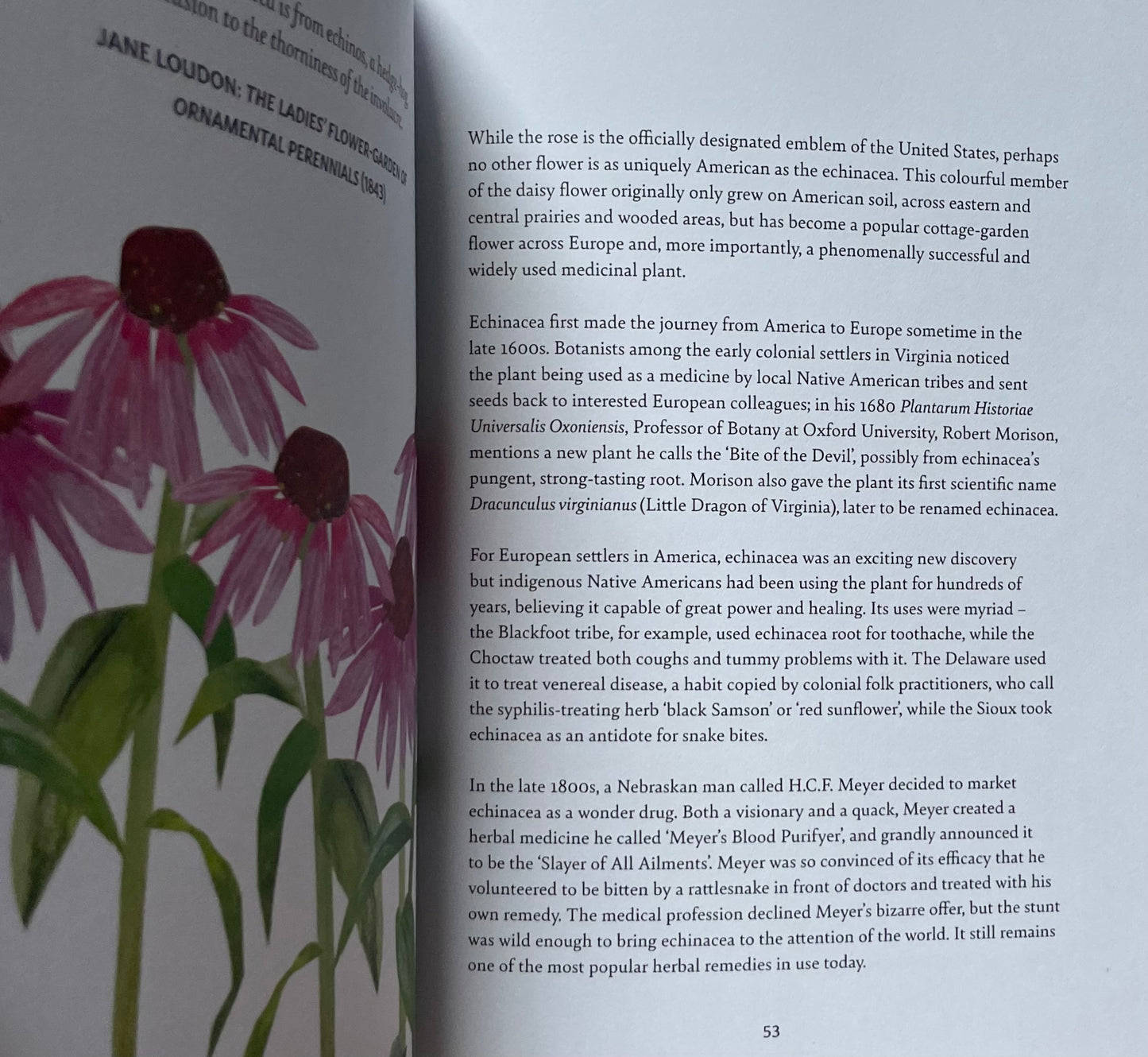 Floriography: The Myths, Magic and Language of Flowers - Sally Coulthard