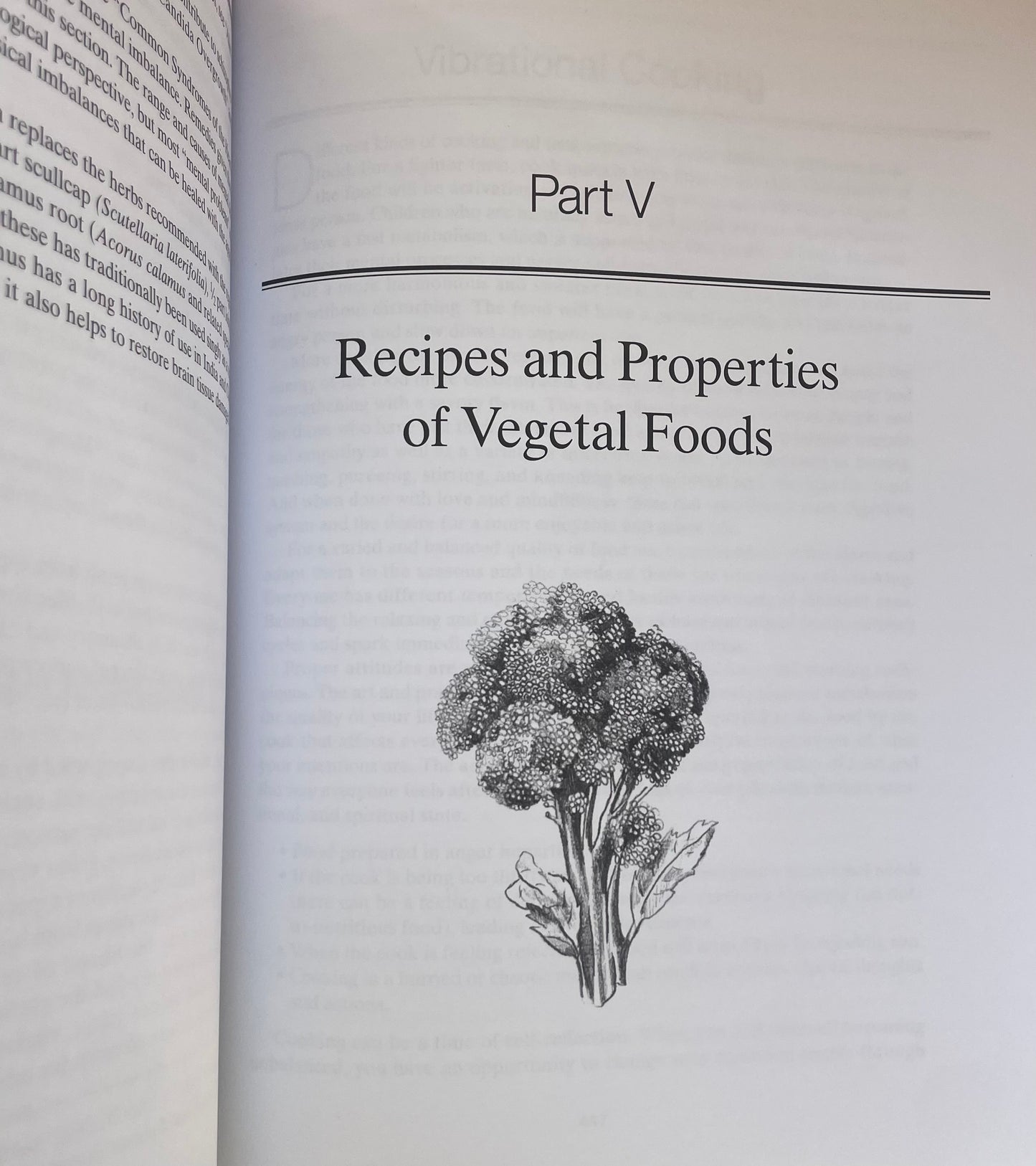 Healing with Whole Foods Asian Traditions and Modern Nutrition Health Fitness Book for Eastern Medicine