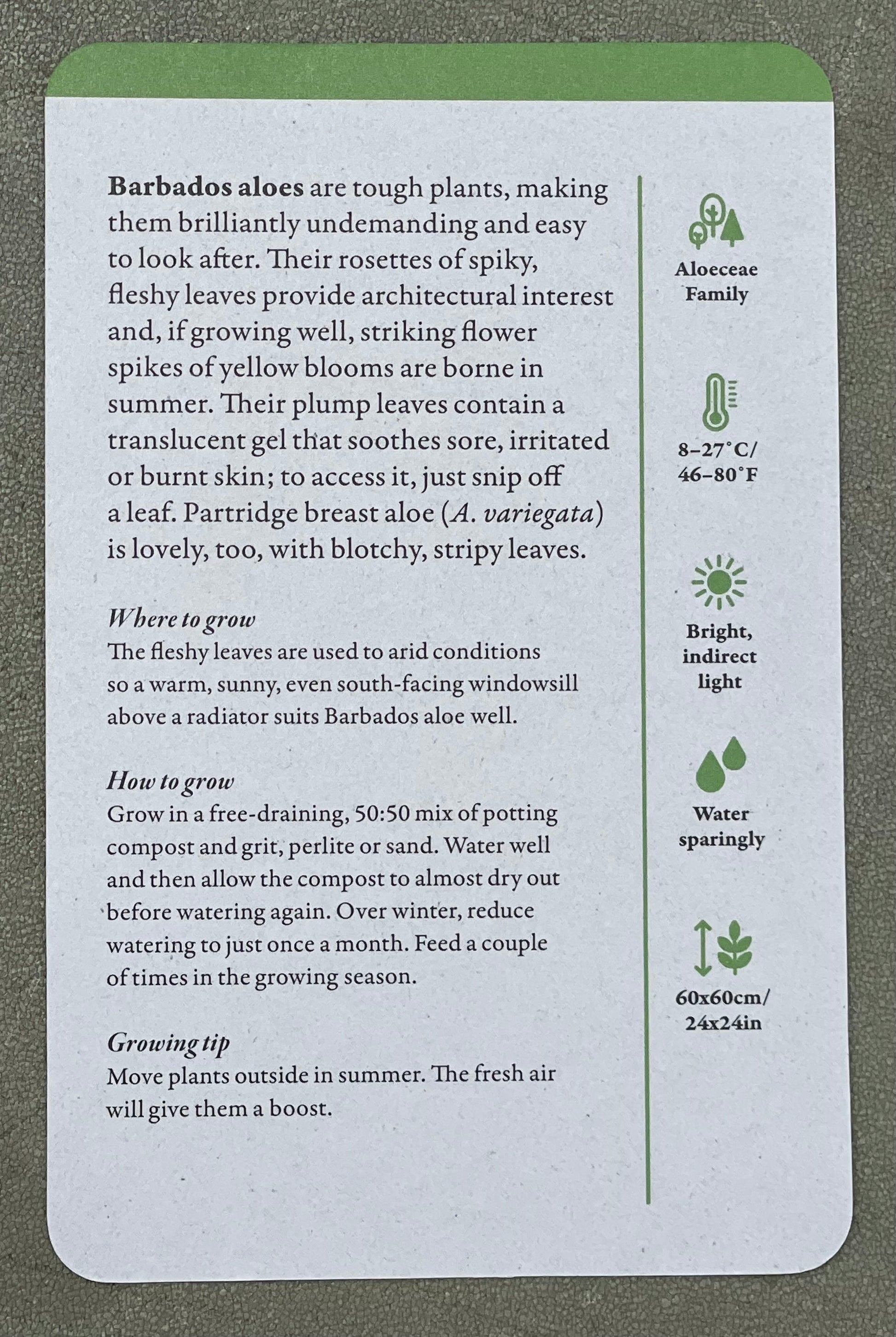 A Home Full of House Plants - A Practical Card Deck by Kay Maguire - Royal Botanic Gardens Kew - Barbados Aloes