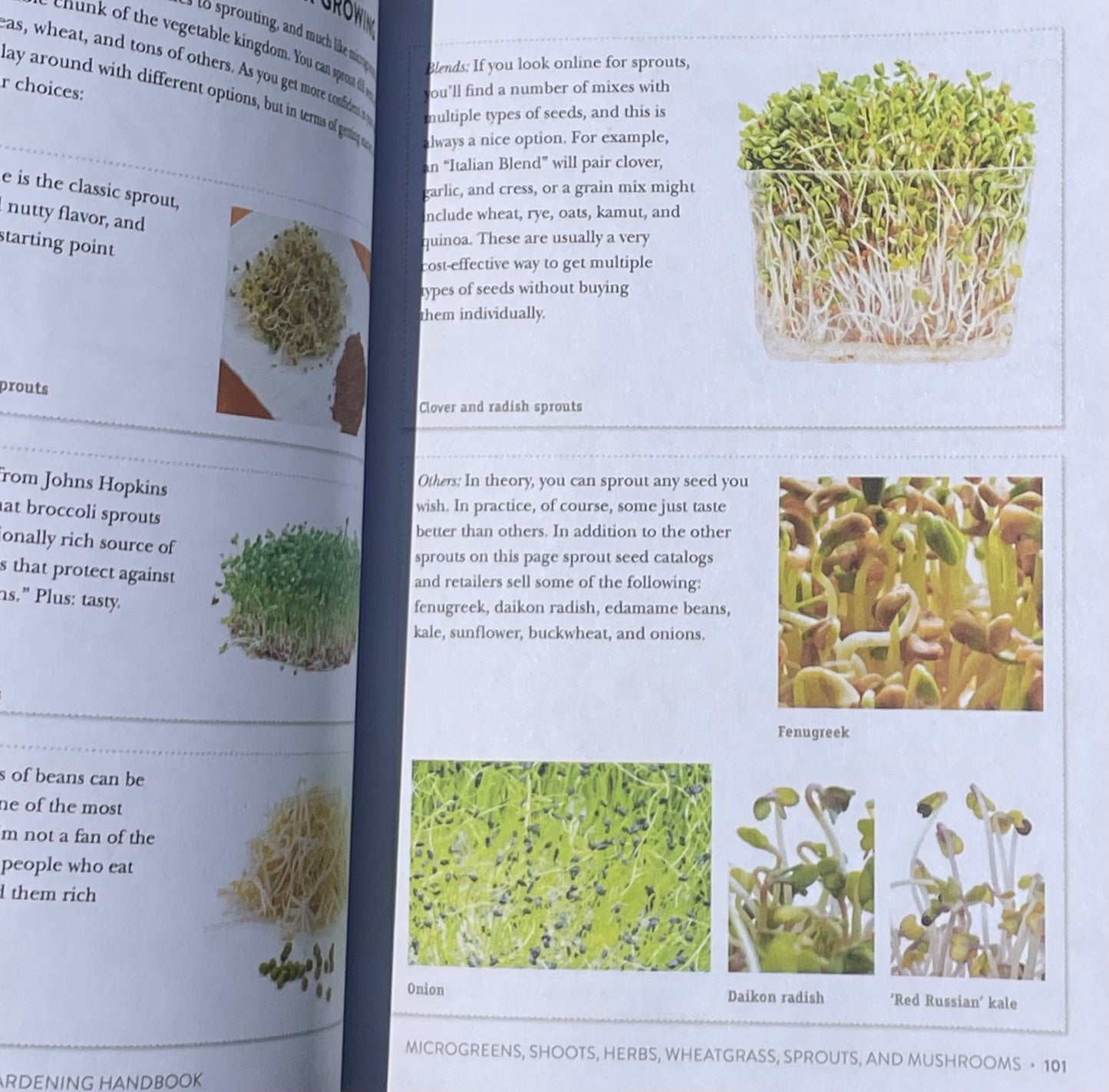 Herb Vegetable House Plant Indoor Kitchen Gardening Handbook - Projects and Inspiration to Grow Food Year Round