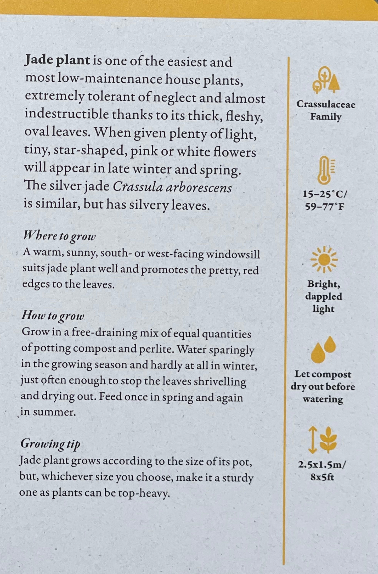 A Home Full of House Plants - A Practical Card Deck by Kay Maguire - Royal Botanic Gardens Kew