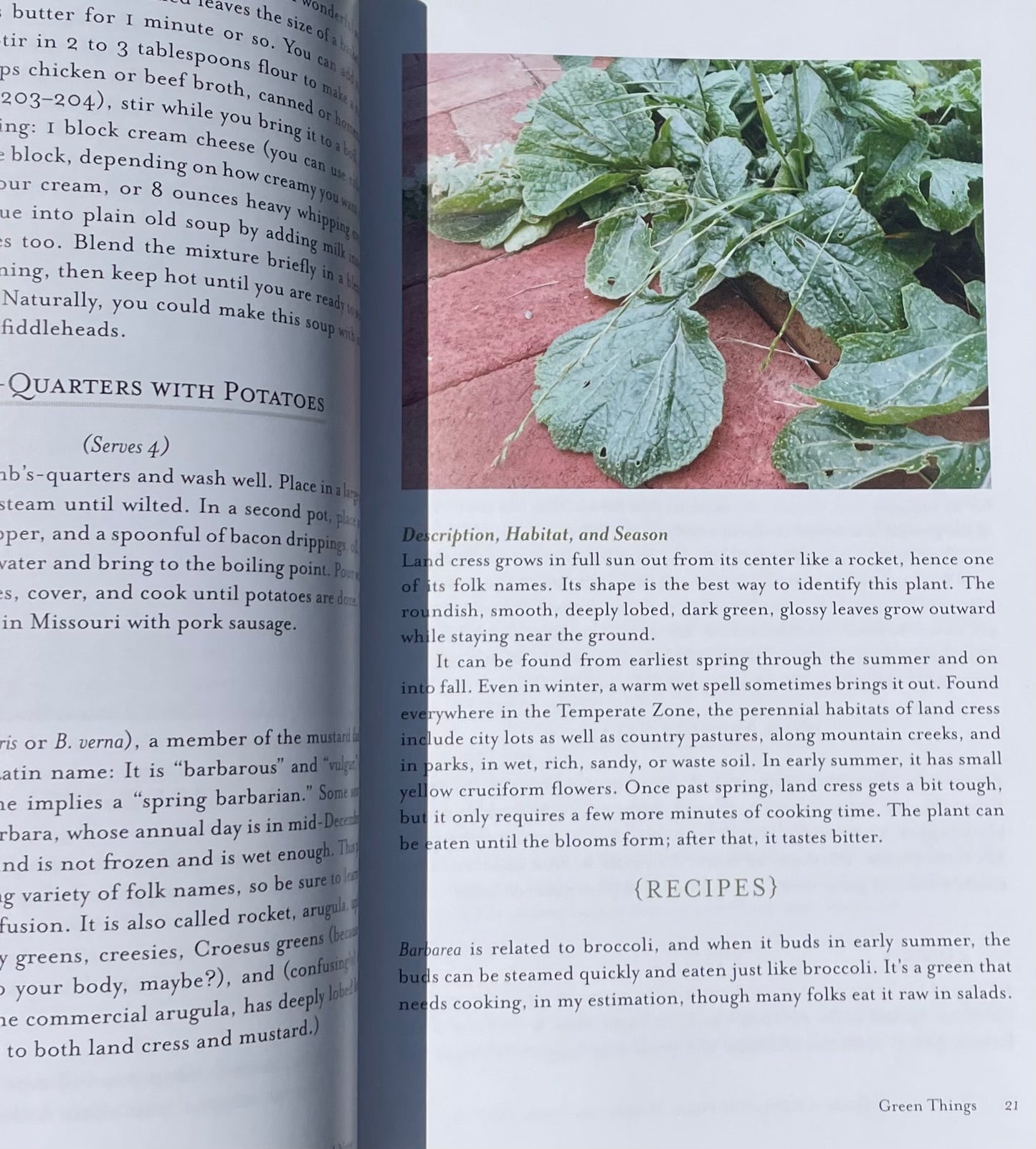 The Complete Guide to Edible Wild Plants, Mushrooms, Fruits Nuts: Finding, Identifying, Cooking - Kate Letcher Lyle