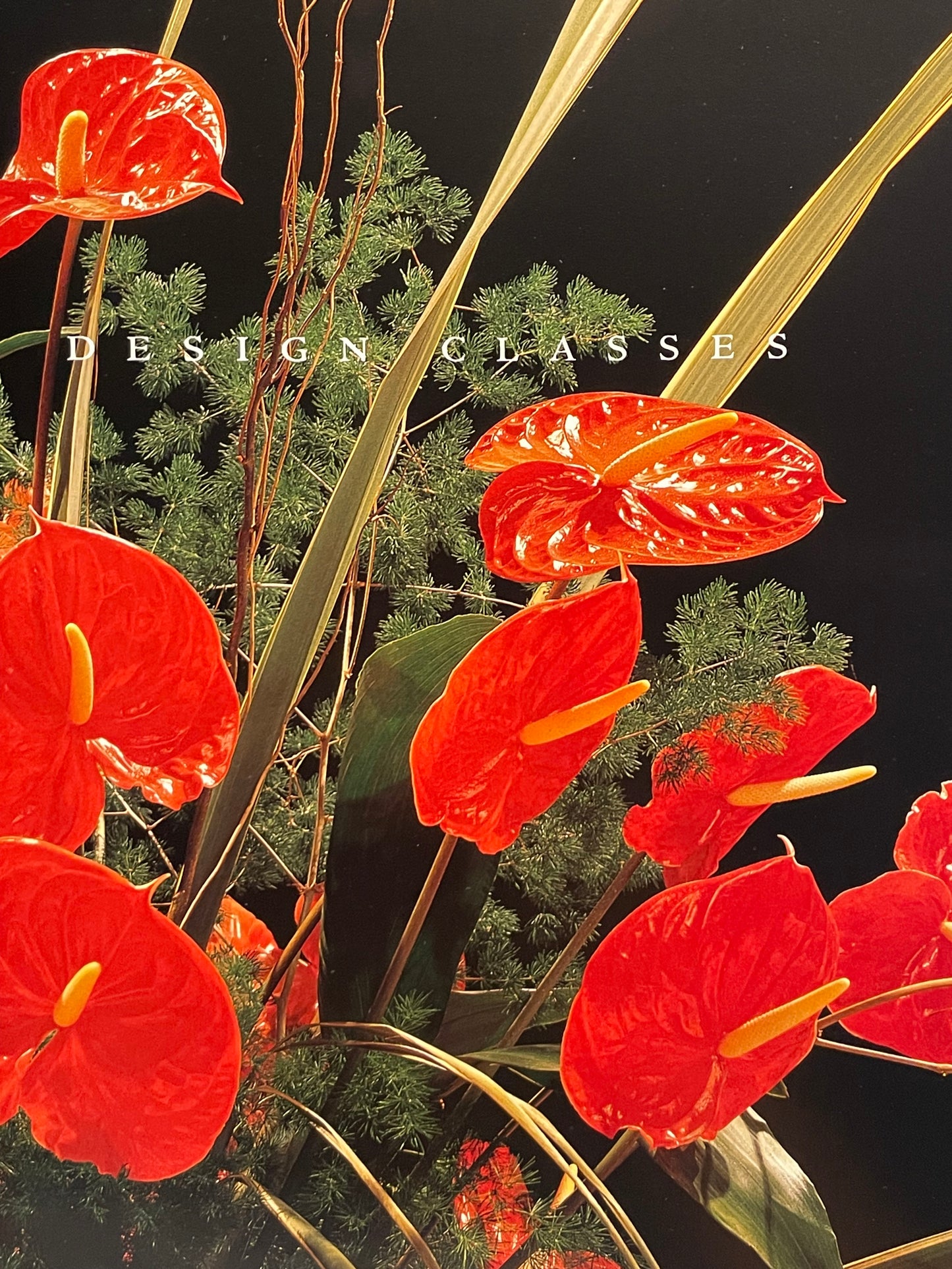 Language of Flower Arranging Philadelphia Flower Show Coffee Table Book Horticulture Floral Prints Plant and Garden History of Botany Gift