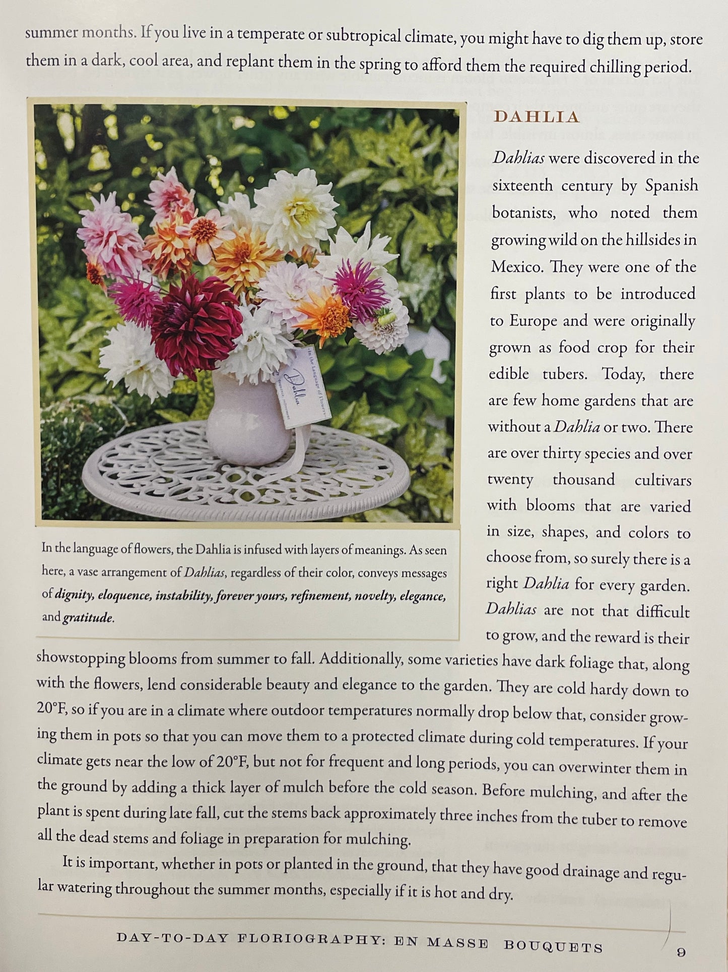 Modern Floriography Book of Flowers Garden Gift Language of Flowers Birthday Present Idea for Flower Lover Flower Design Floral Arrangement