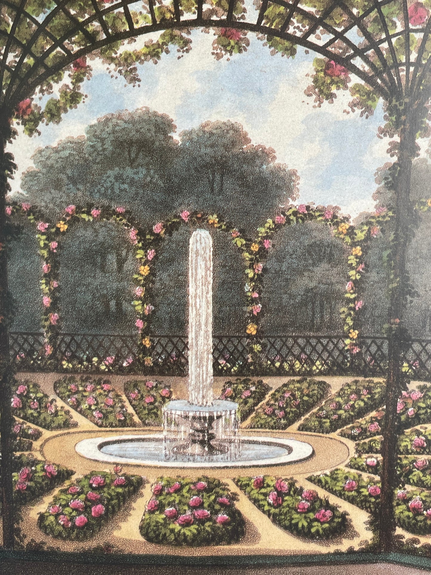 Roses from the Archives of the Royal Horticultural Society Book Rose Illustrations for Gardener of Roses Floral Enthusiast Gift Idea
