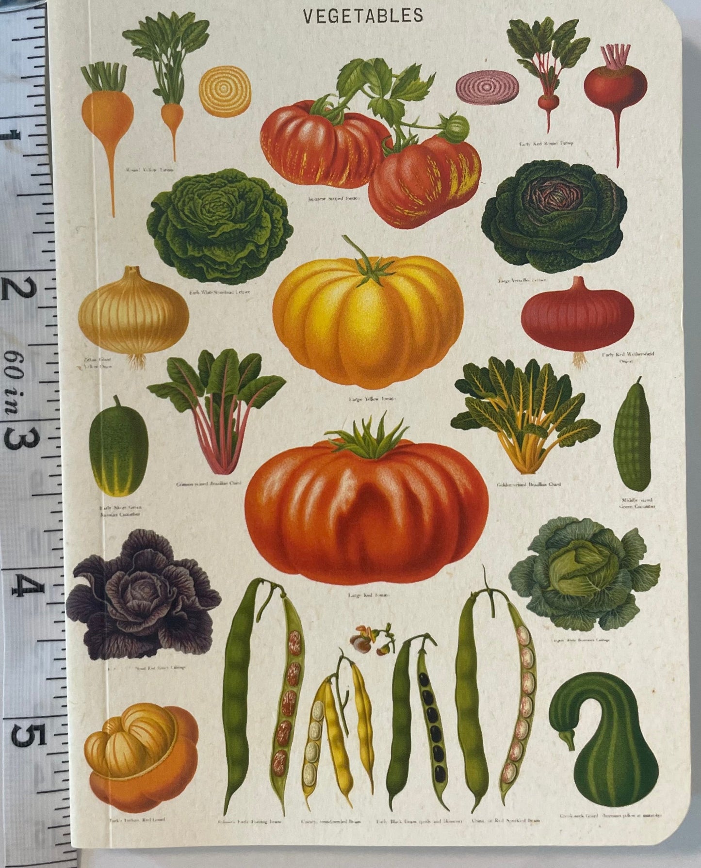 Stationary Book - Blank Vegetable Theme (Small)