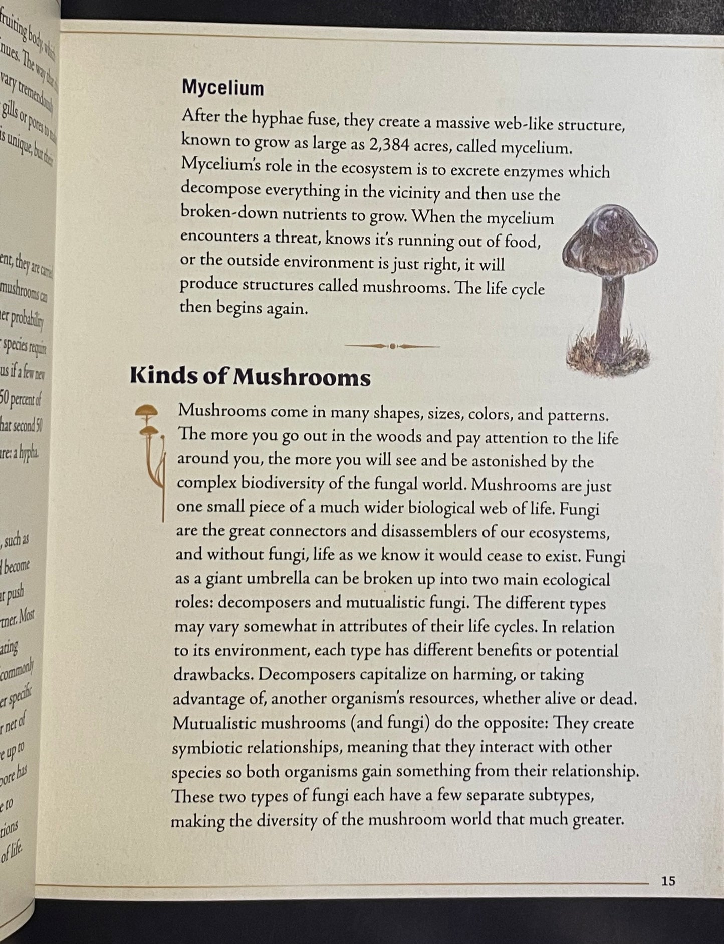 The Little Book of Mushrooms