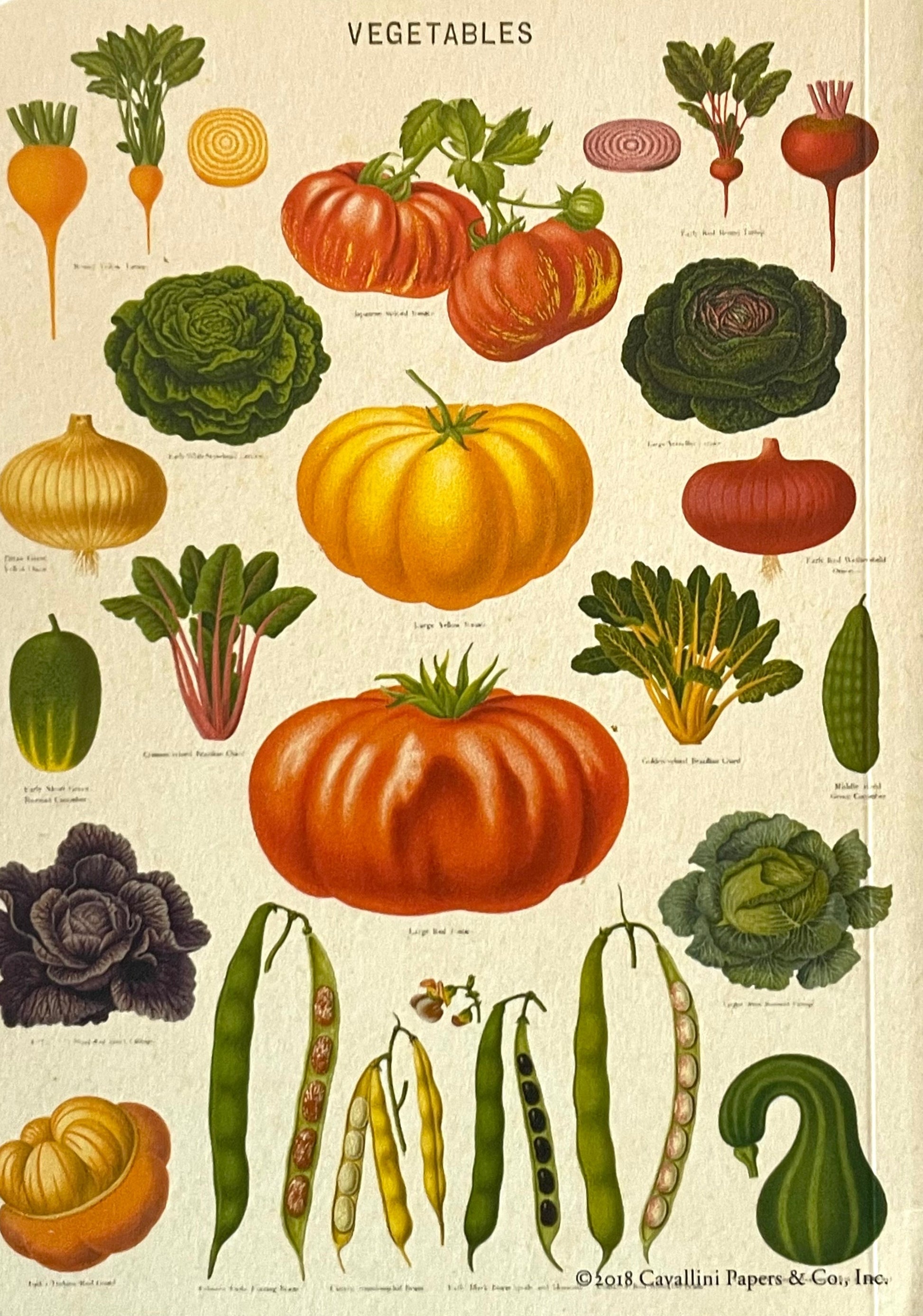 Stationary Book - Blank Vegetable Theme (Small)