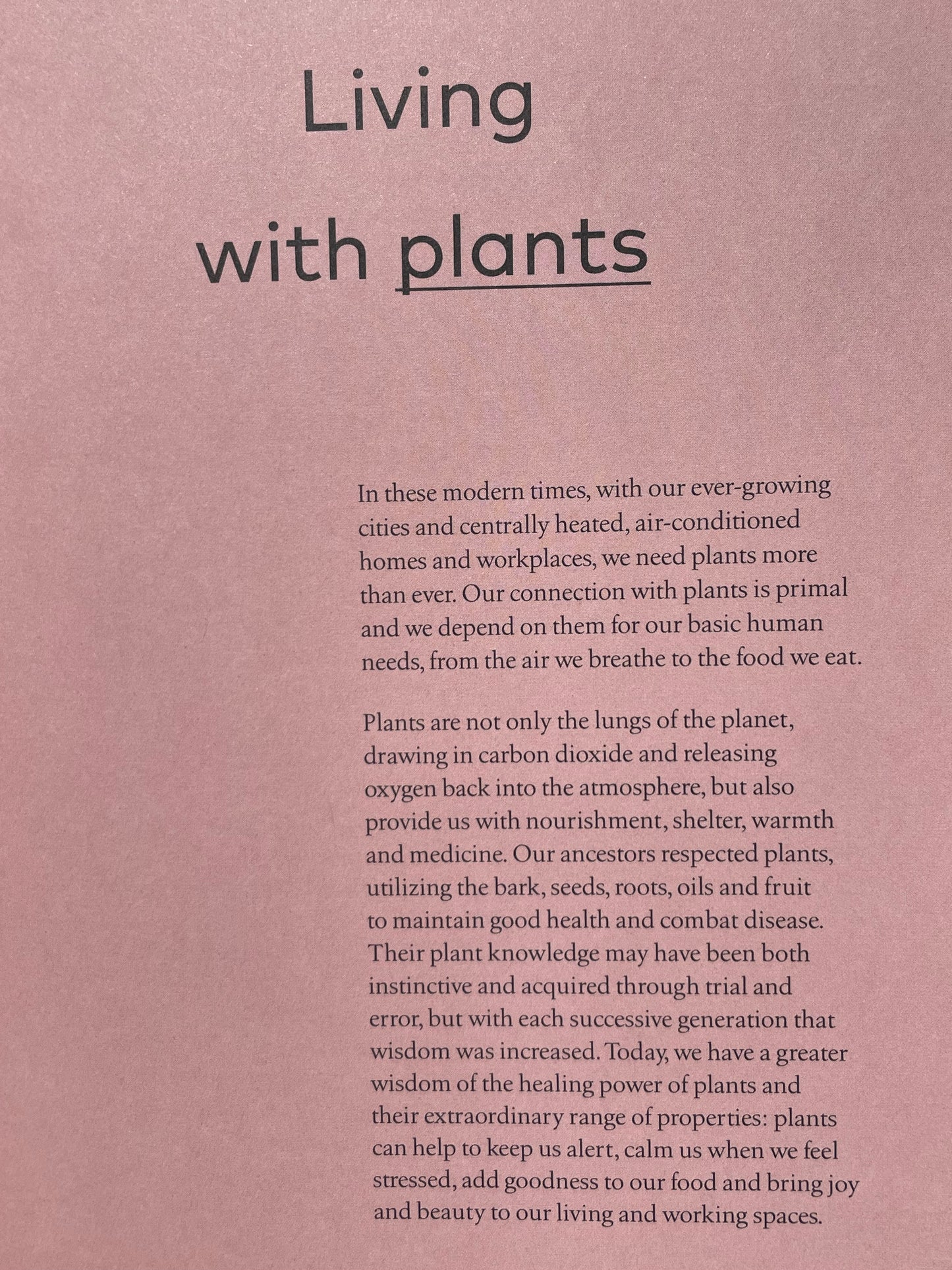 Medicinal Plants Healing Power of Plants Hero Houseplants That Will Love You Back Hardcover Gardener Gift Idea Coffee Table Book Plant Lover