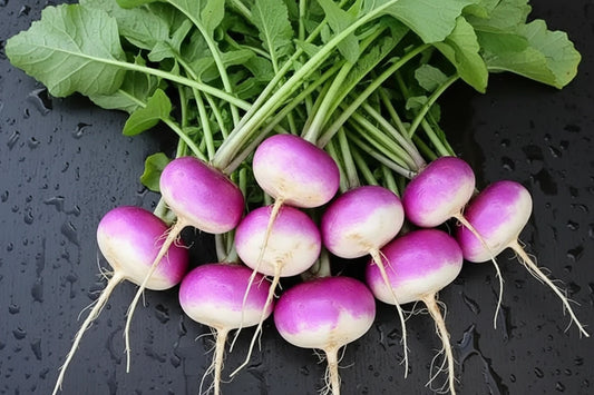 Purple Turnip Seeds Heirloom Organic Vegetable Seeds Non GMO Organic Seeds Garden Gift Idea Winter Spring Seeds for Gardener Veggie Lover