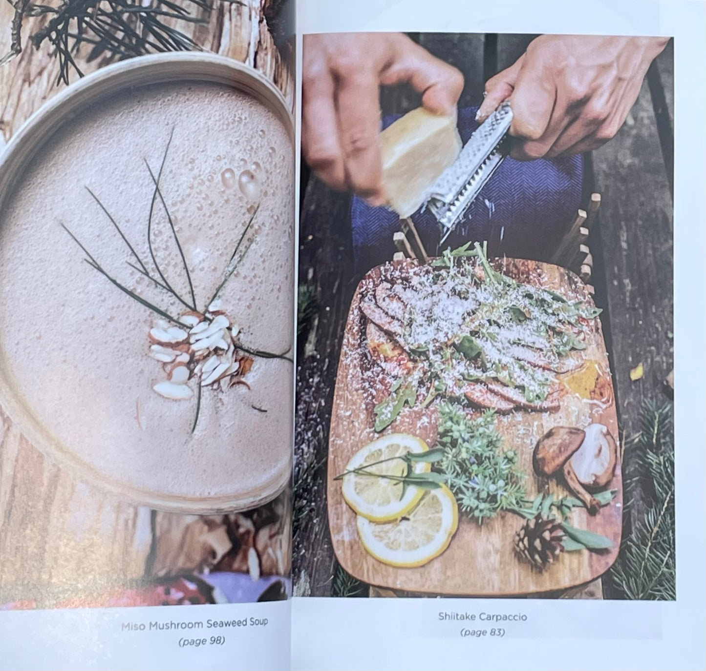 Adaptogenic Healing Mushrooms: A Practical and Culinary Guide to Using Mushrooms for Whole Body Health by Tero Isokauppila - Chaga Cordyceps Reishi
