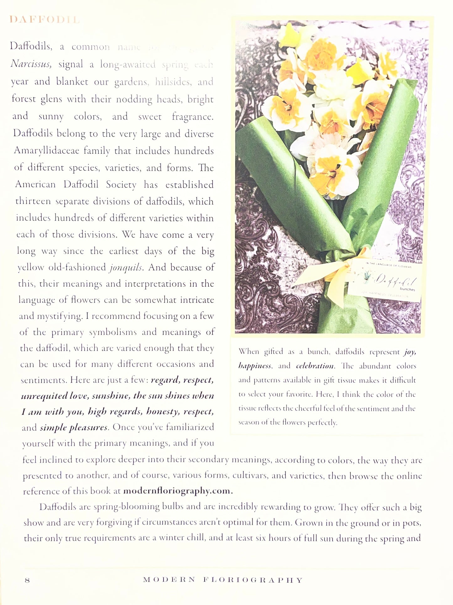 Modern Floriography Book of Flowers Garden Gift Language of Flowers Birthday Present Idea for Flower Lover Flower Design Floral Arrangement
