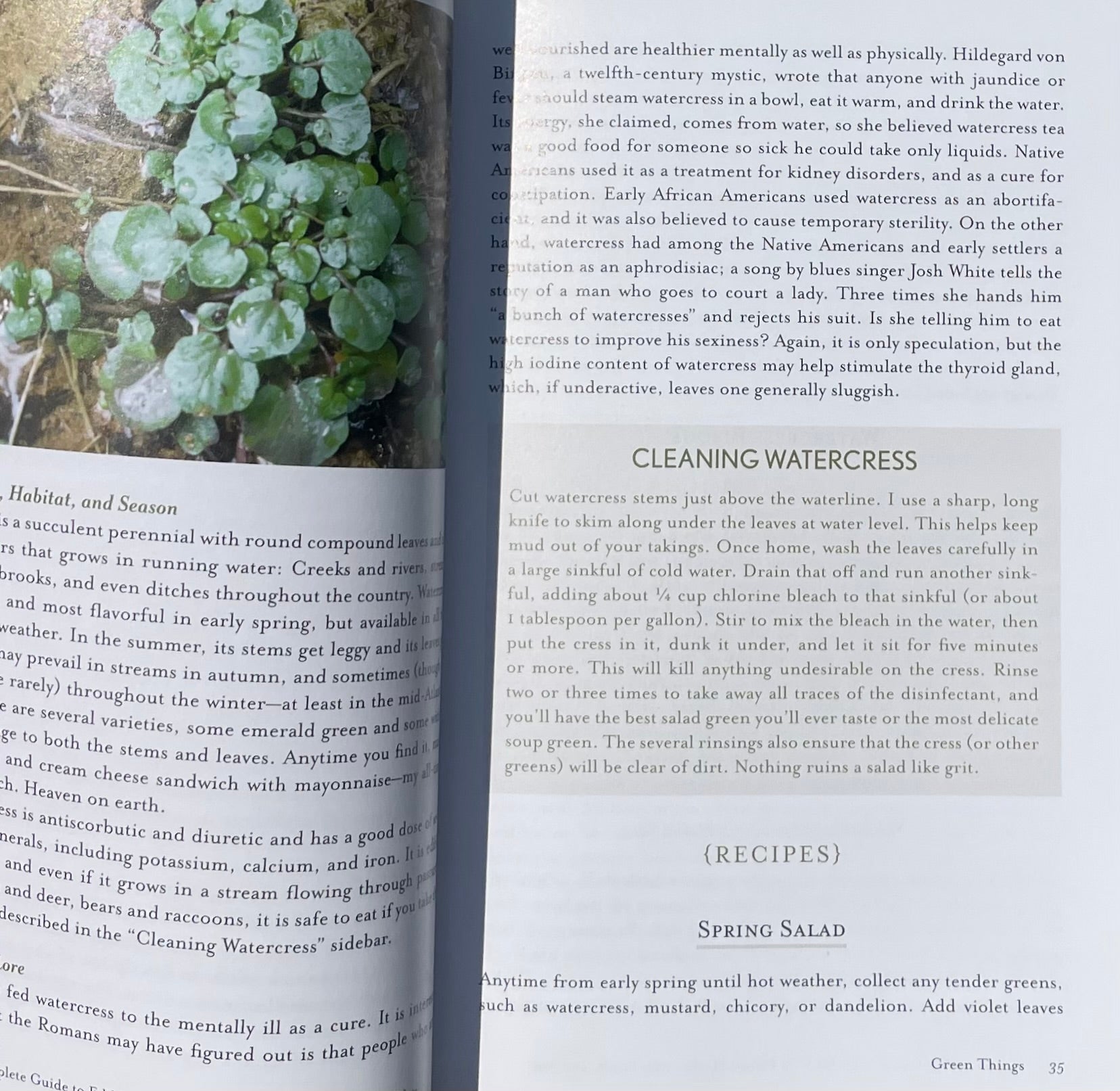 The Complete Guide to Edible Wild Plants, Mushrooms, Fruits Nuts: Finding, Identifying, Cooking - Kate Letcher Lyle Watercress