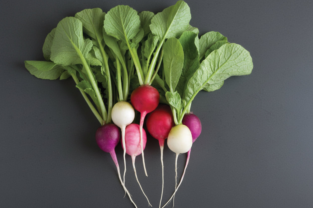 Radish Seeds Easter Egg Blend Heirloom Organic Vegetable Seeds Non GMO Organic Seeds Garden Gift Idea Spring Seeds for Gardener Veggie Lover