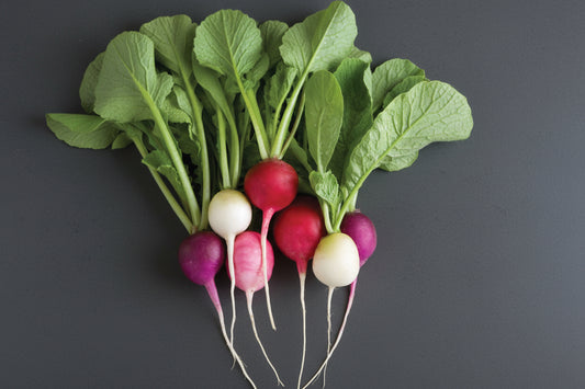 Radish Seeds Easter Egg Blend Heirloom Organic Vegetable Seeds Non GMO Organic Seeds Garden Gift Idea Spring Seeds for Gardener Veggie Lover