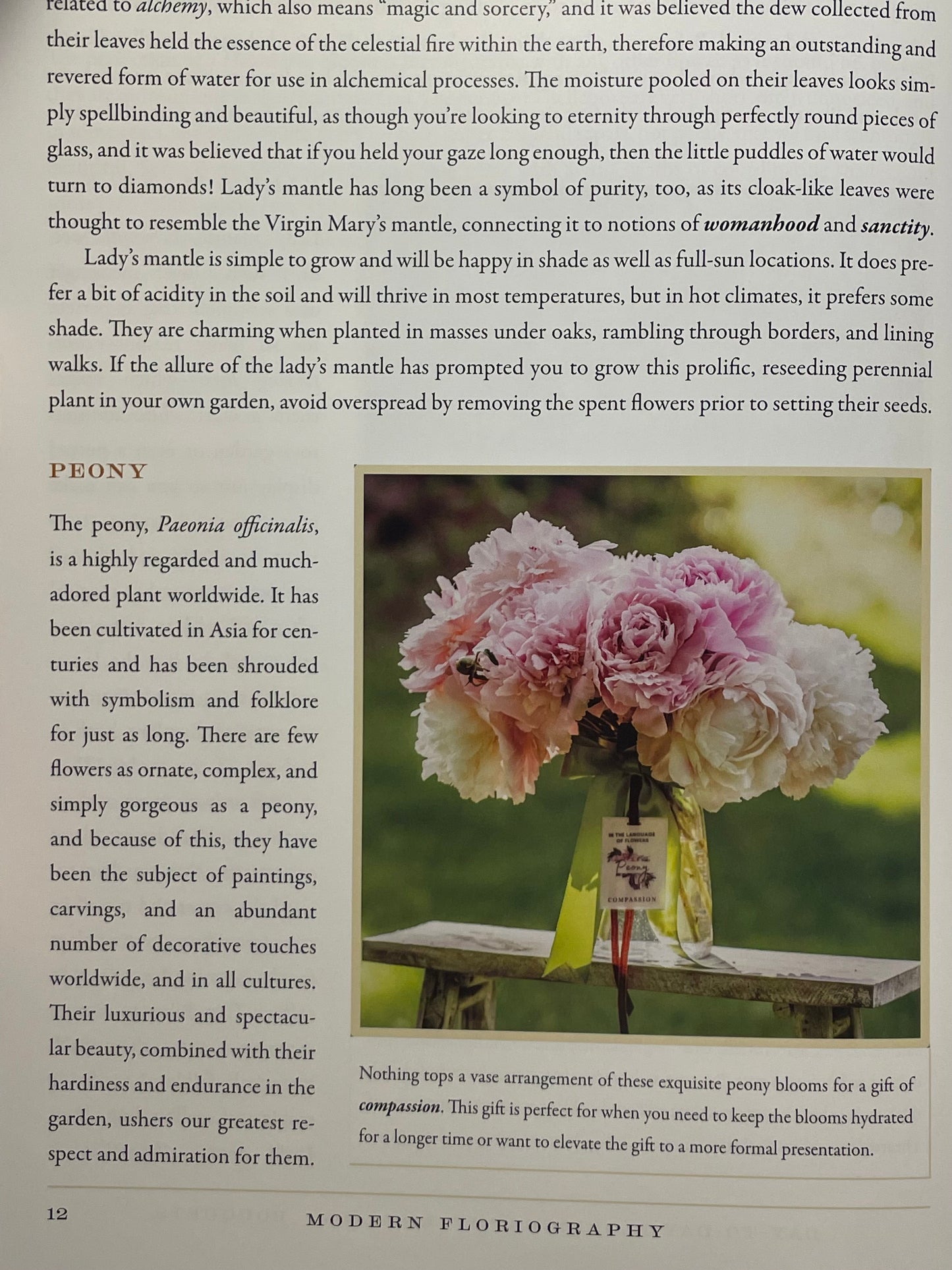 Modern Floriography Book of Flowers Garden Gift Language of Flowers Birthday Present Idea for Flower Lover Flower Design Floral Arrangement