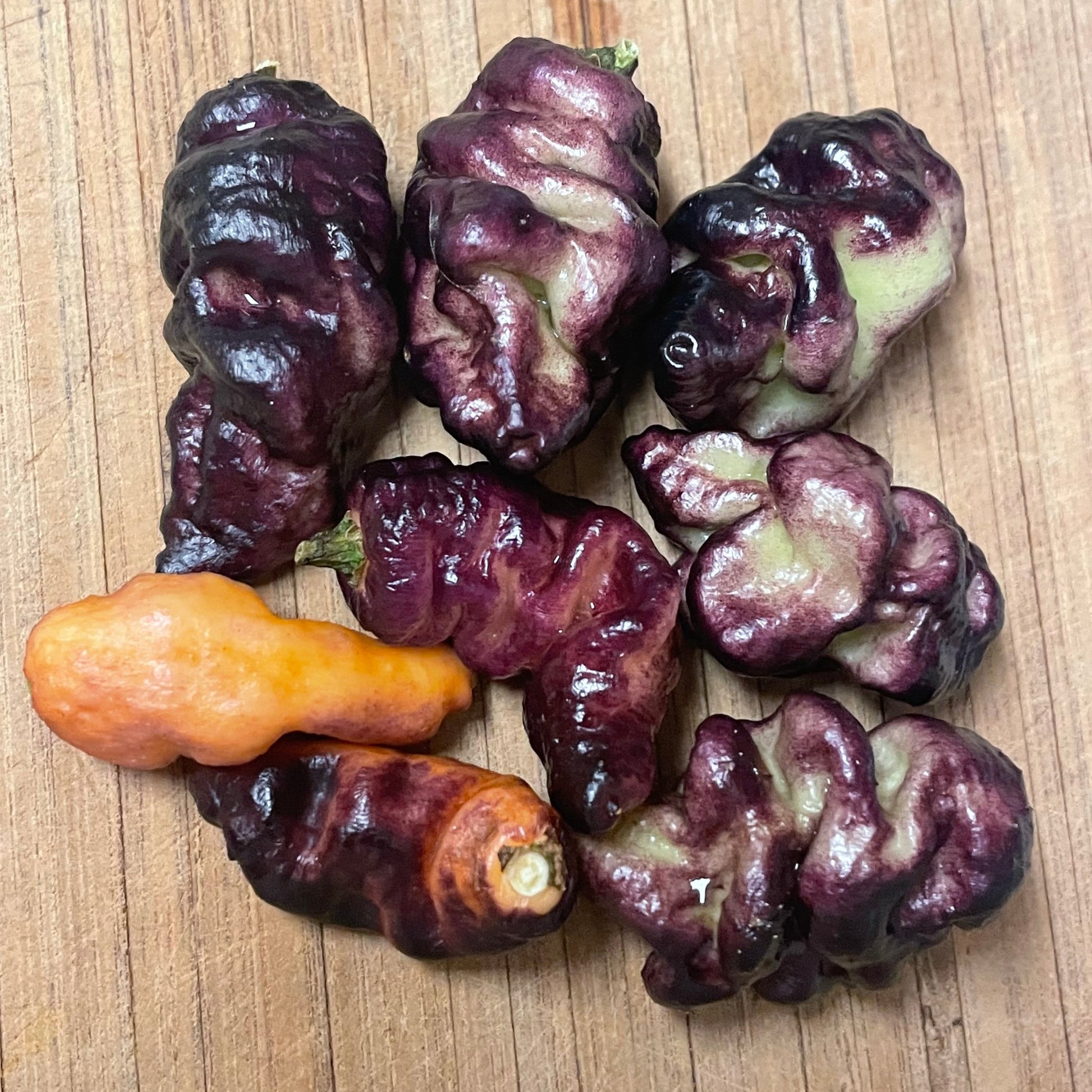 Thor's Thunderbolt Super Hot Pepper Seeds; Purple Peach Hot Peppers; Rare Pepper Breeds