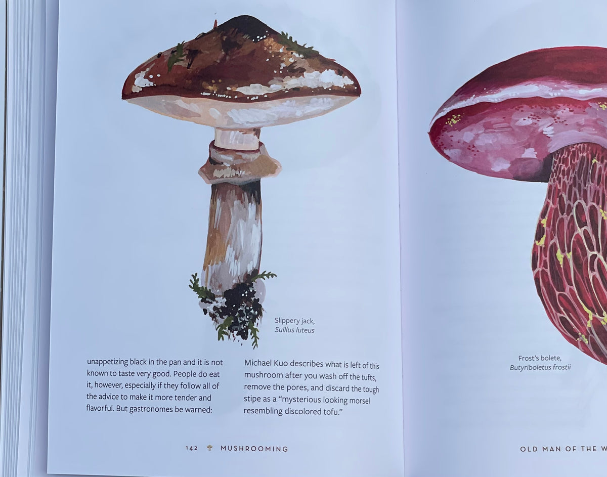 Mushrooming: An Illustrated Guide to the Fantastic, Delicious, Deadly, and Strange World of Fungi Adaptagen Cordyceps Slippery Jack Pink Mushroom