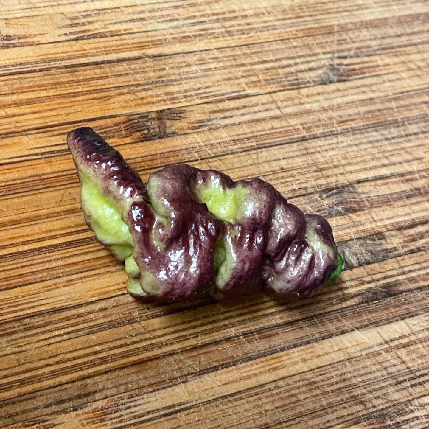 Thor's Thunderbolt Super Hot Pepper Seeds; Purple Peach Hot Peppers; Rare Pepper Breeds