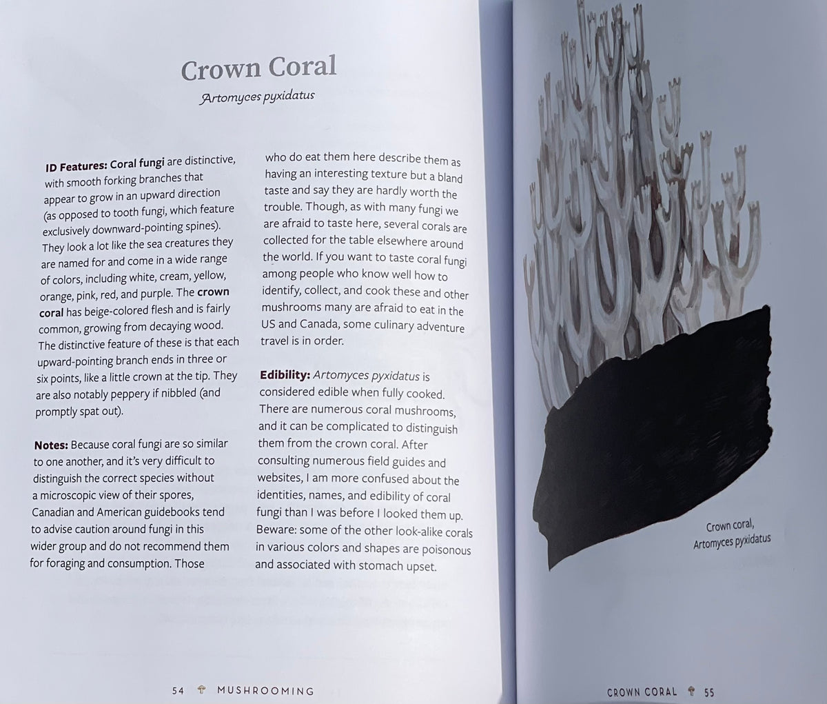 Mushrooming: An Illustrated Guide to the Fantastic, Delicious, Deadly, and Strange World of Fungi Adaptagen Cordyceps Crown Coral