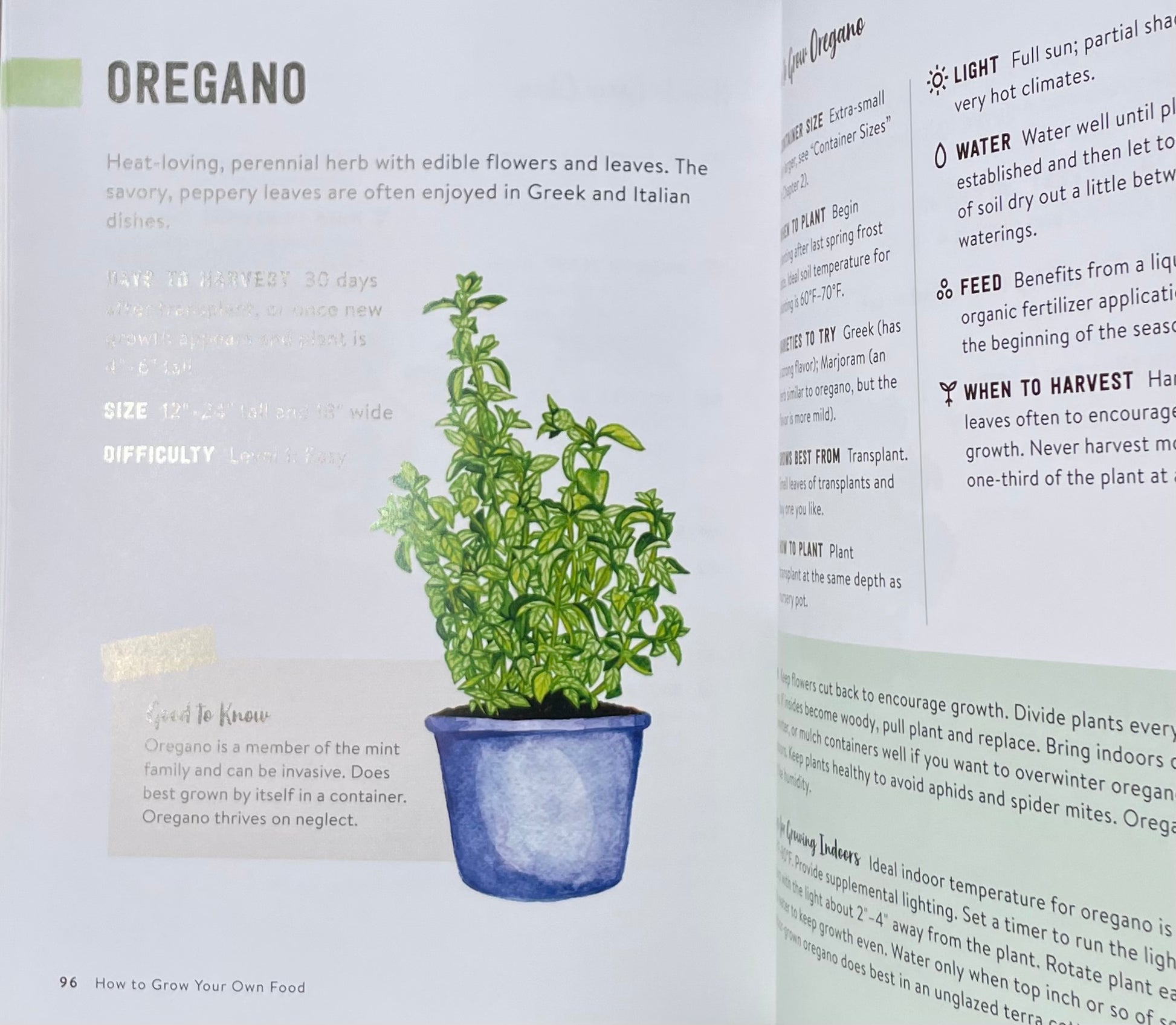 How to Grow Your Own Food: An Illustrated Beginner's Guide to Container Gardening - Oregano