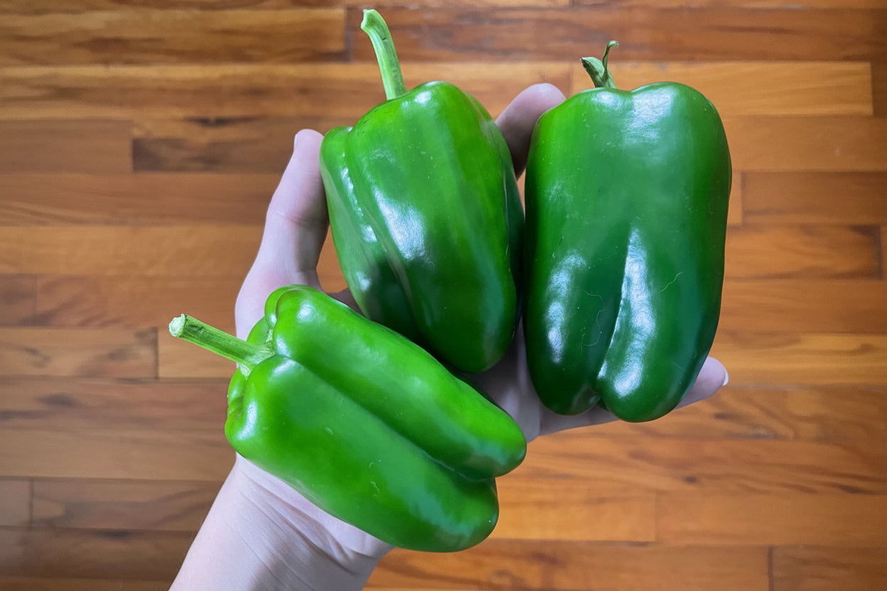 Organic Non GMO Vegetable Sweet Mixed Bell Pepper Seeds Garden Gift New York Grown Chef Cook Healthy Eating Summer Fall Winter Crop Non-GMO