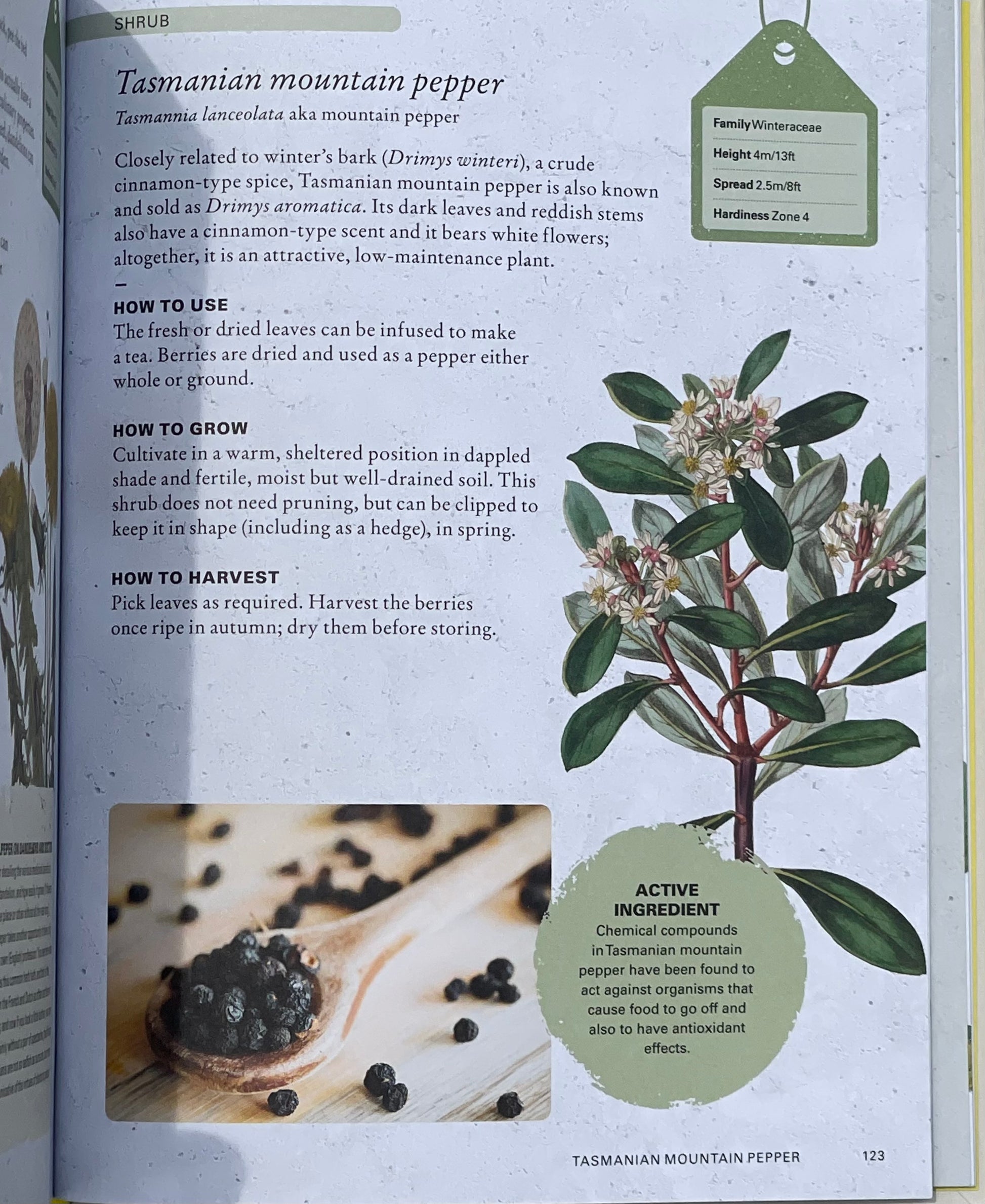 The Kew Gardener's Guide to Growing Herbs: The art and science to grow your own herbs (Volume 2) Hardcover