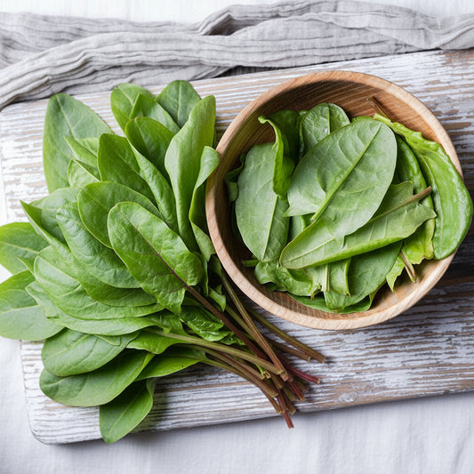 Sorrel Seeds Green Easy To Grow Organic Heirloom Seeds Perennial Non GMO Salad Seeds Winter Garden Gift Idea for Gardener Gift Spring Time