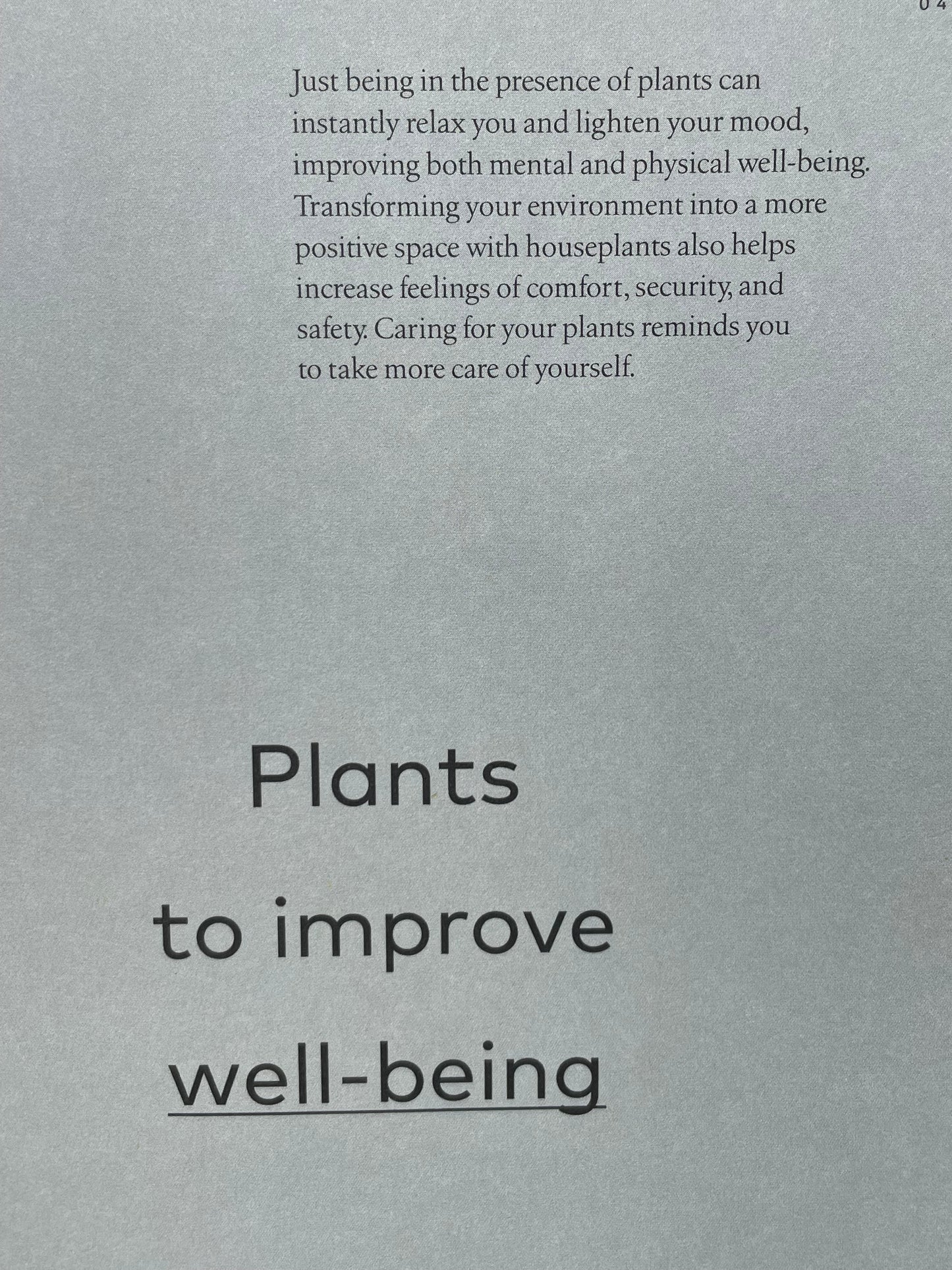 Medicinal Plants Healing Power of Plants Hero Houseplants That Will Love You Back Hardcover Gardener Gift Idea Coffee Table Book Plant Lover