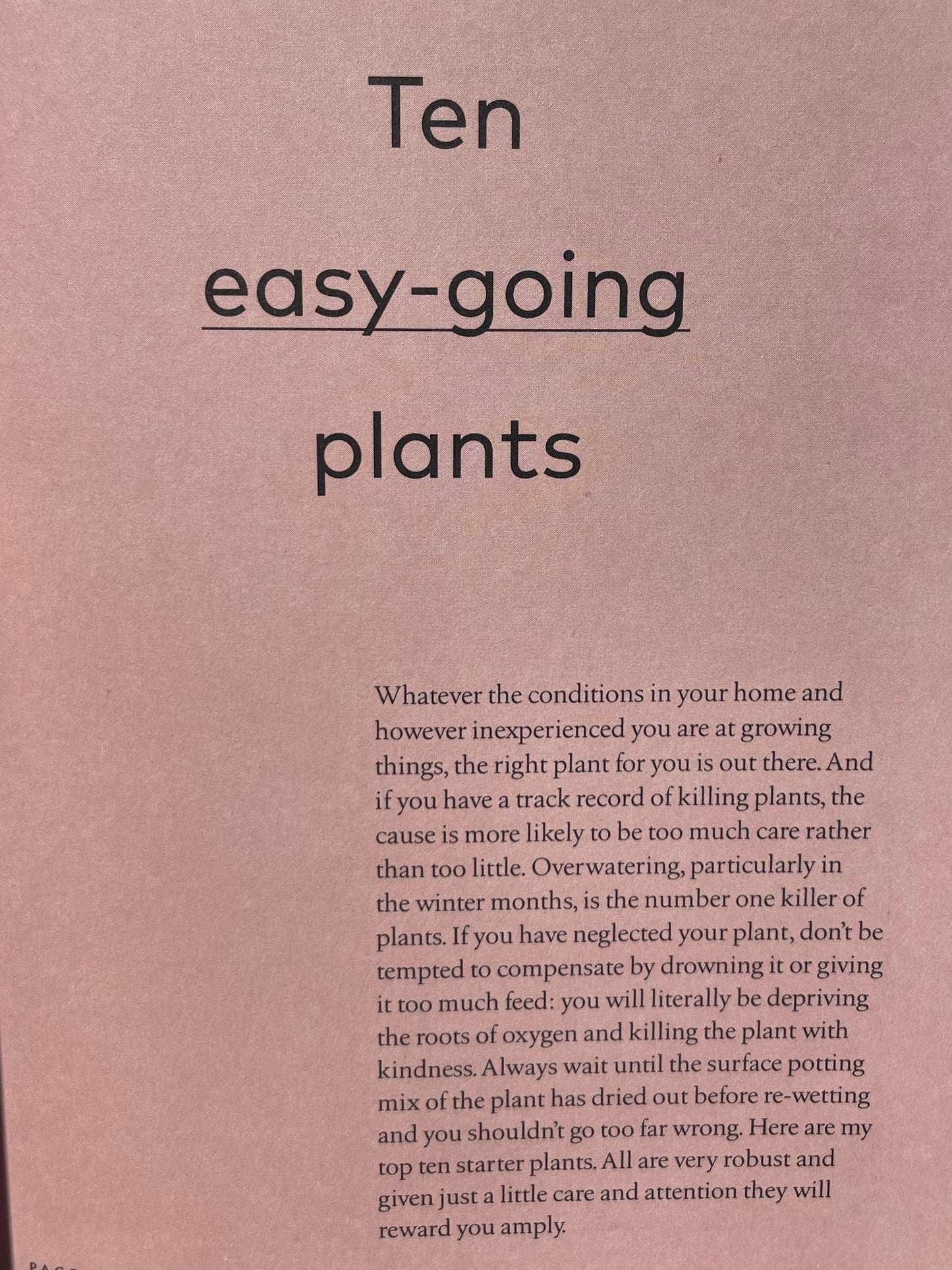 Medicinal Plants Healing Power of Plants Hero Houseplants That Will Love You Back Hardcover Gardener Gift Idea Coffee Table Book Plant Lover