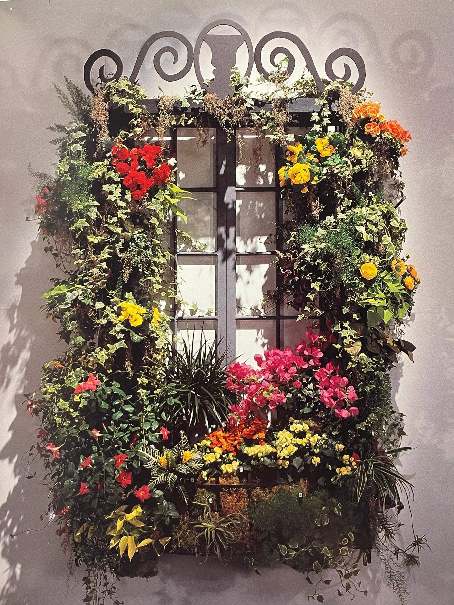 Language of Flower Arranging Philadelphia Flower Show Coffee Table Book Horticulture Floral Prints Plant and Garden History of Botany Gift