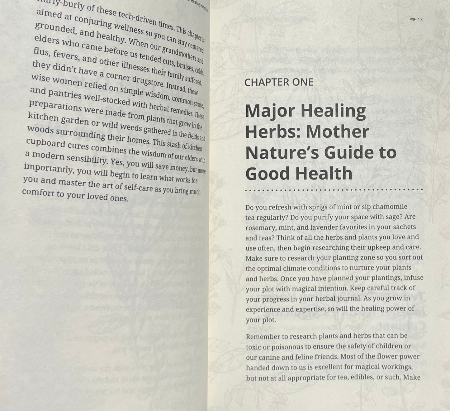 The Herbal Healing Handbook How to use Plants, Essential Oils and Aromatherapy as Natural Remedies