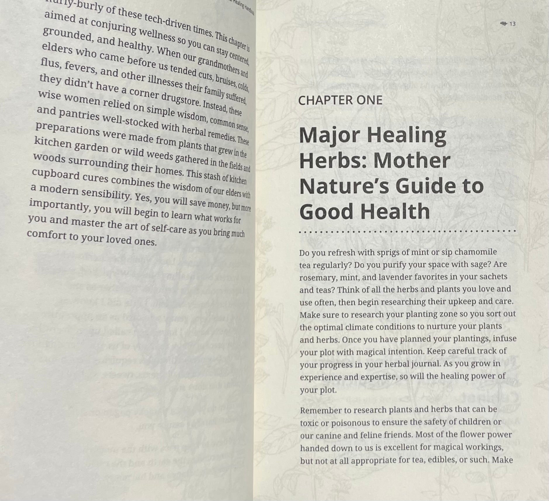 The Herbal Healing Handbook How to use Plants, Essential Oils and Aromatherapy as Natural Remedies