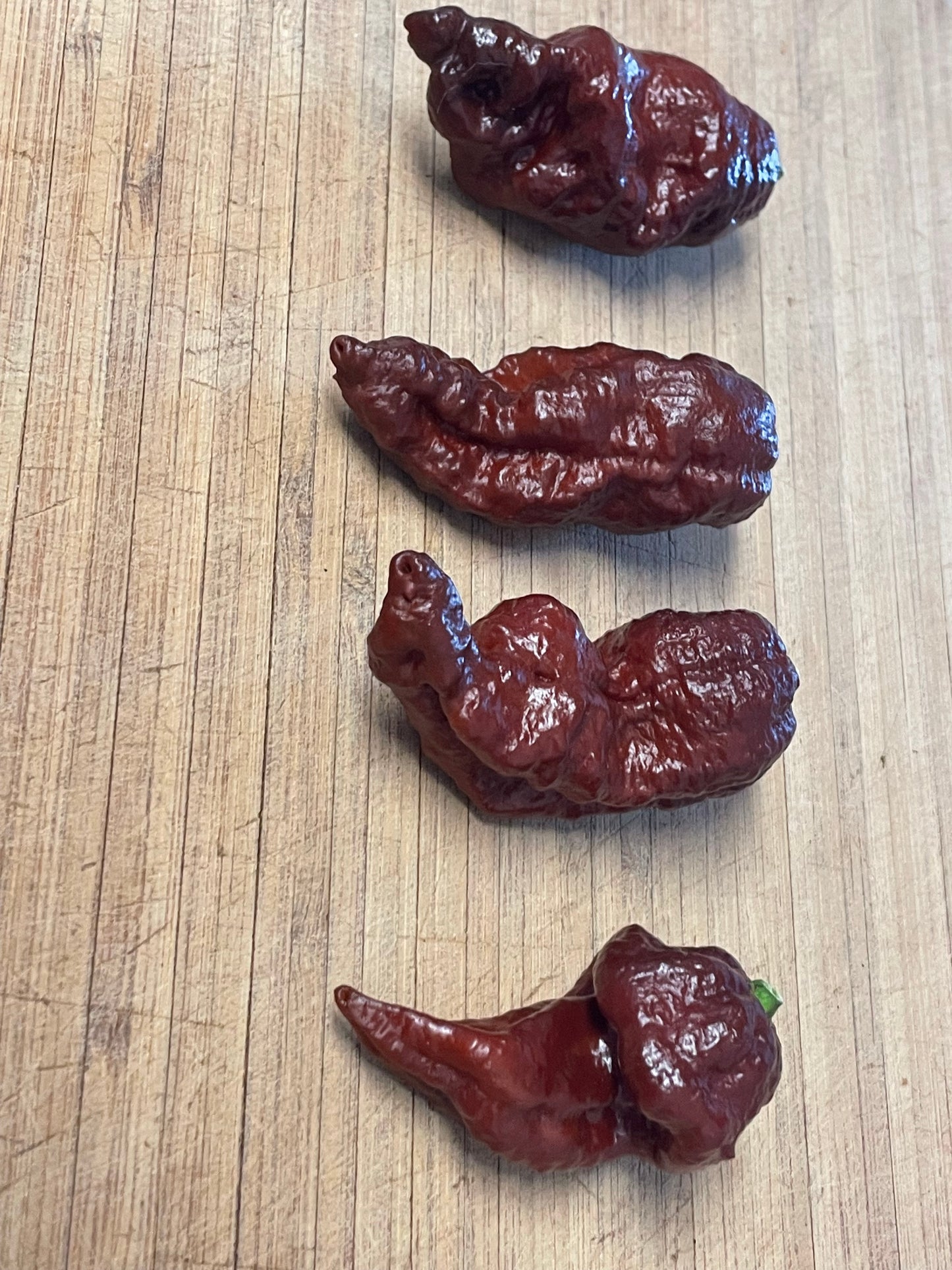 Death Spiral Hot Pepper Seeds